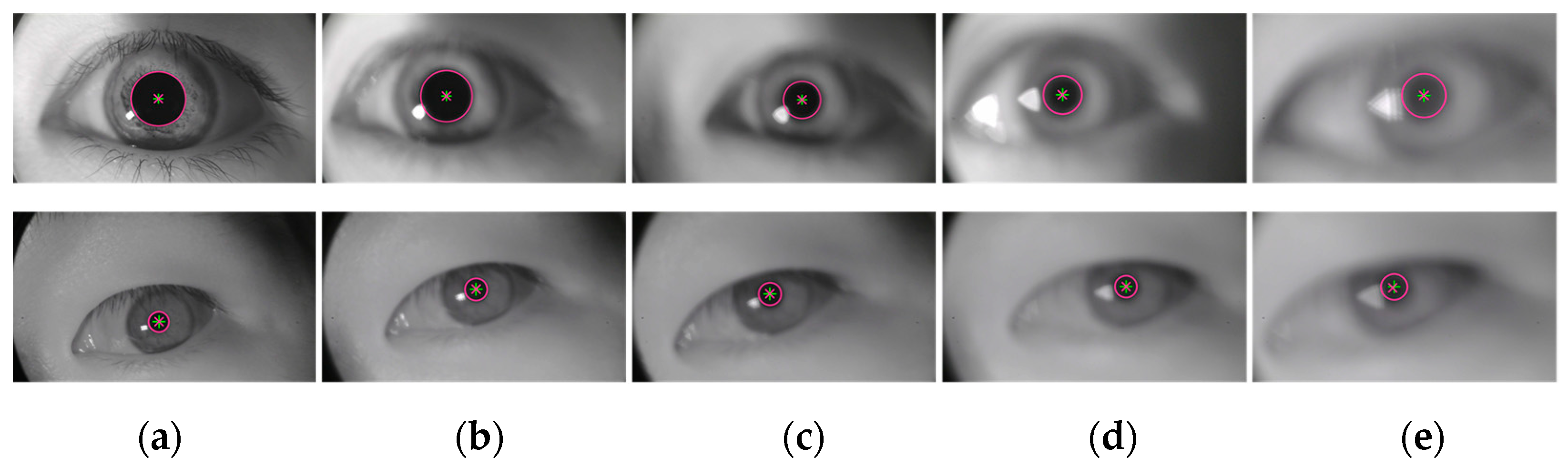Sensors 25 01749 g010