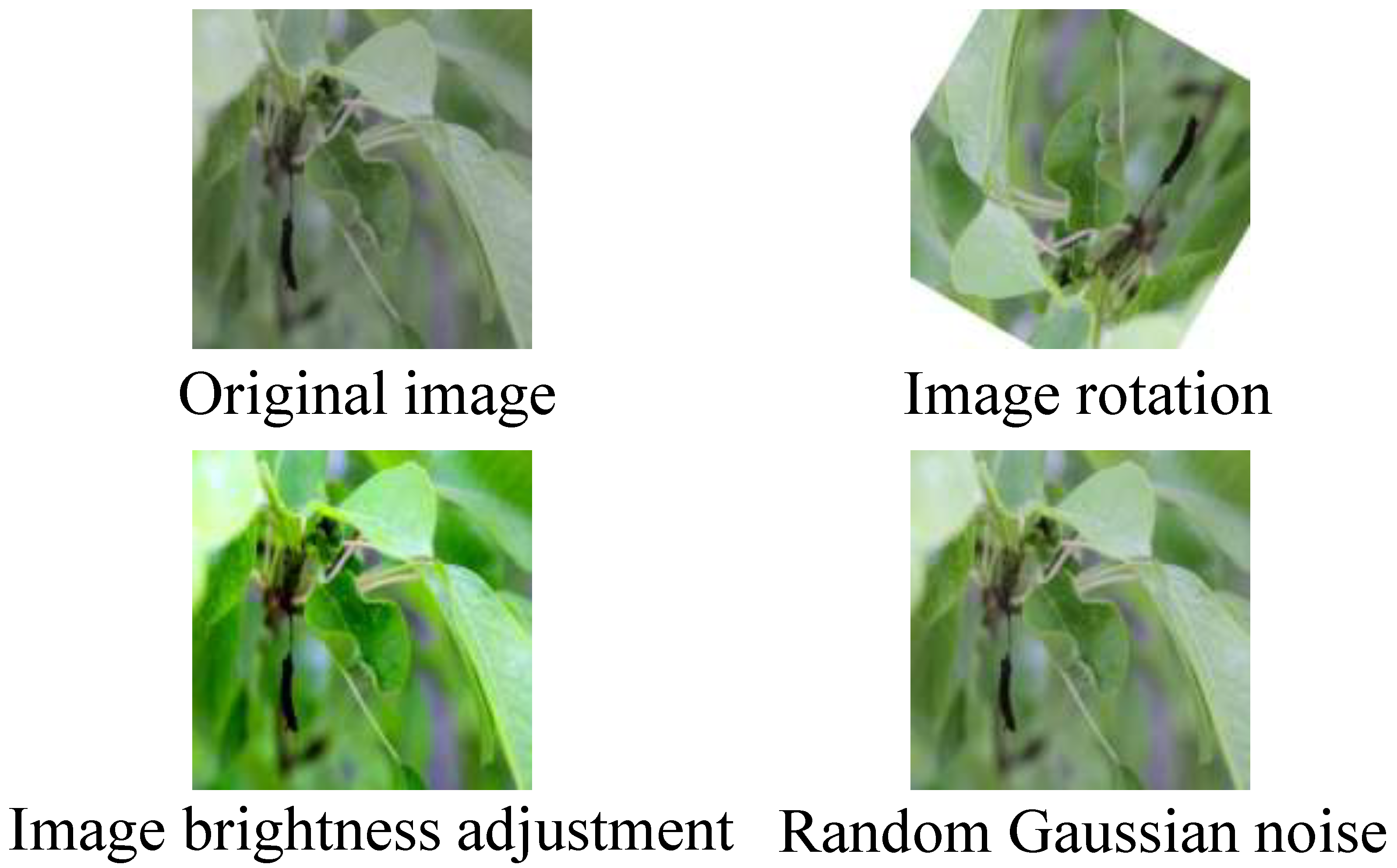 Sensors 25 01751 g001