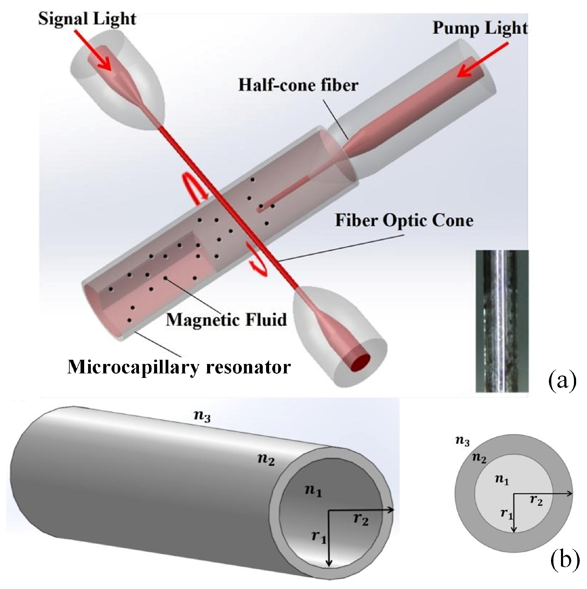 Sensors 25 01784 g001