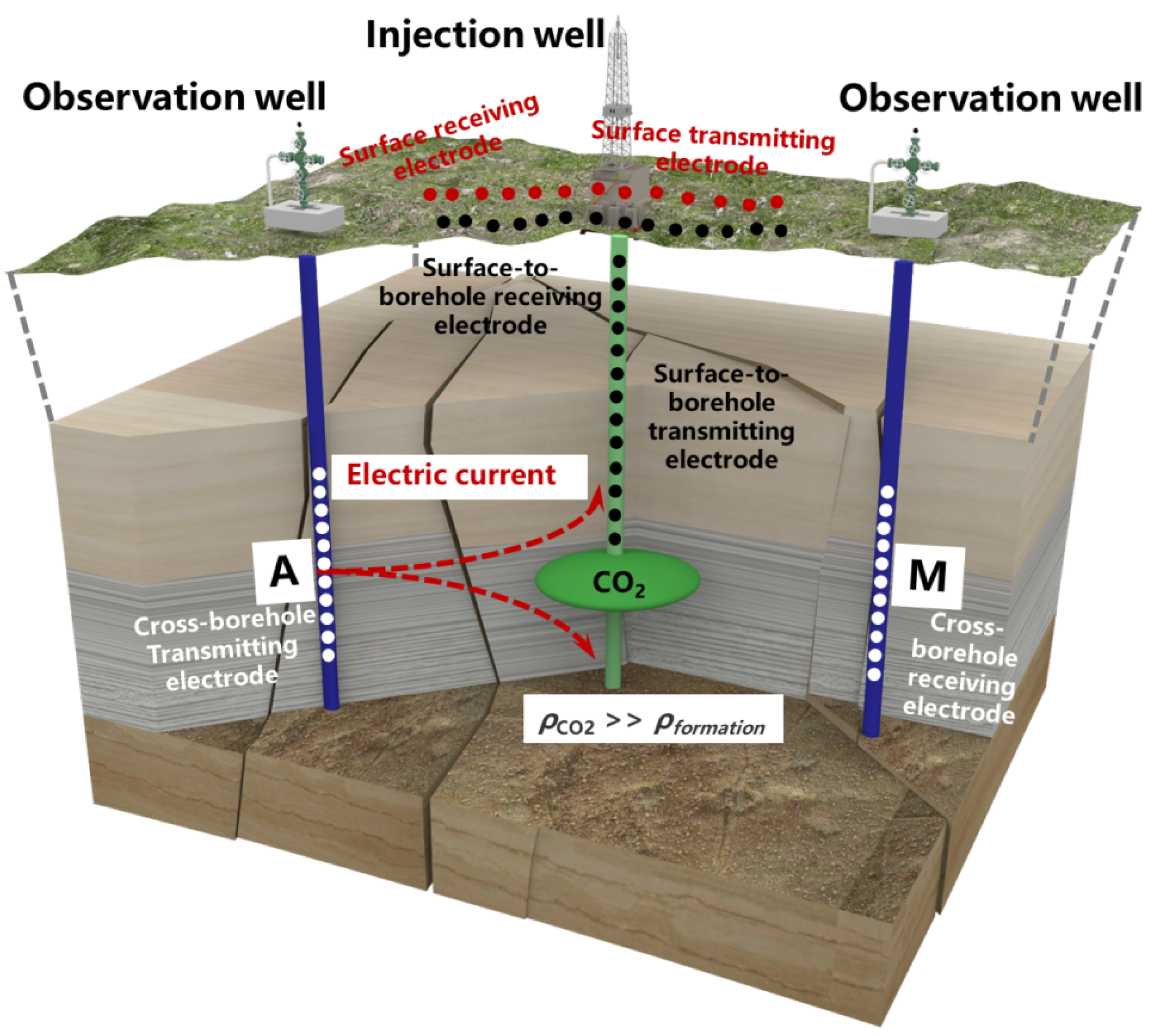 Sensors 25 01796 g002