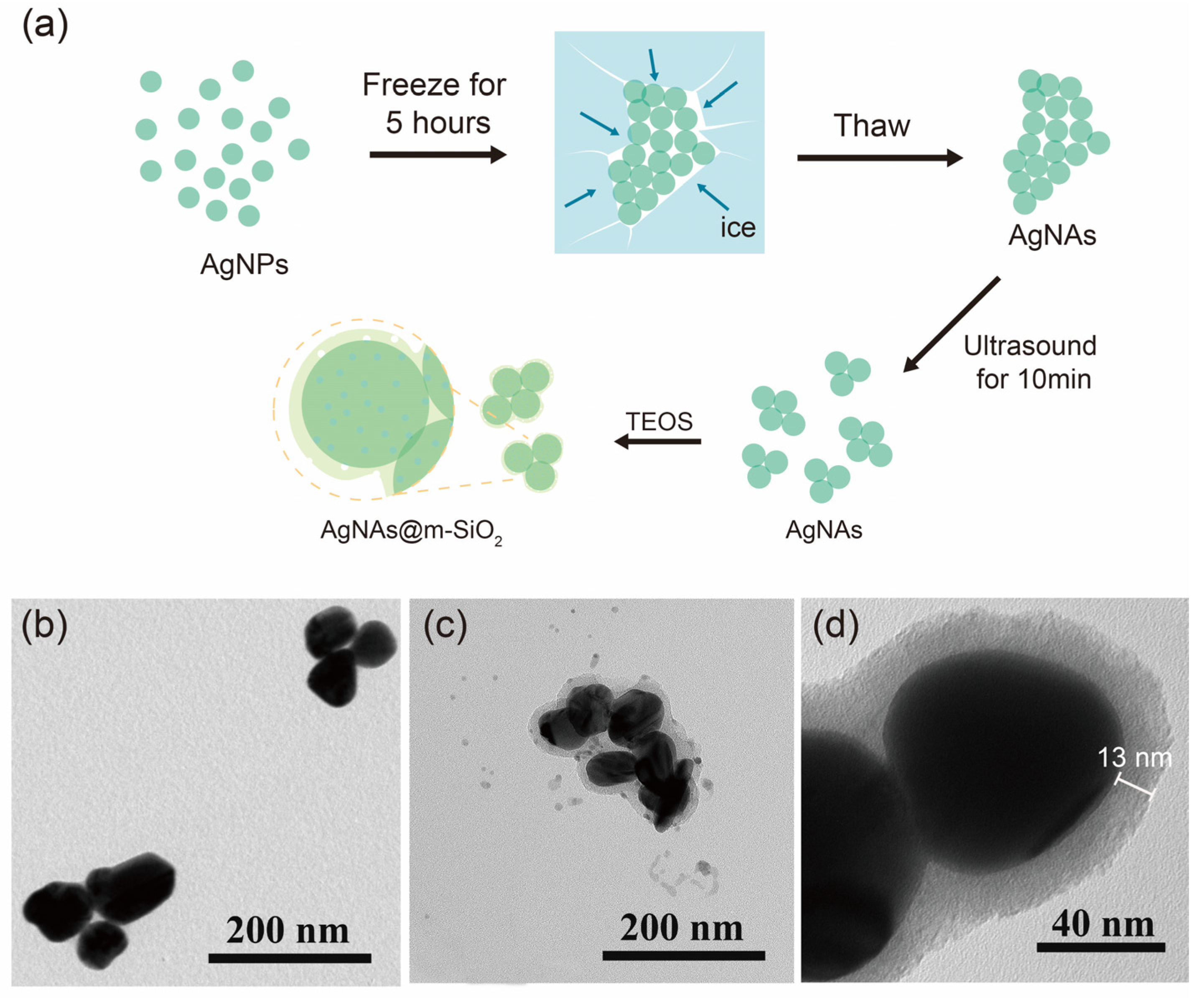 Sensors 25 01840 g001