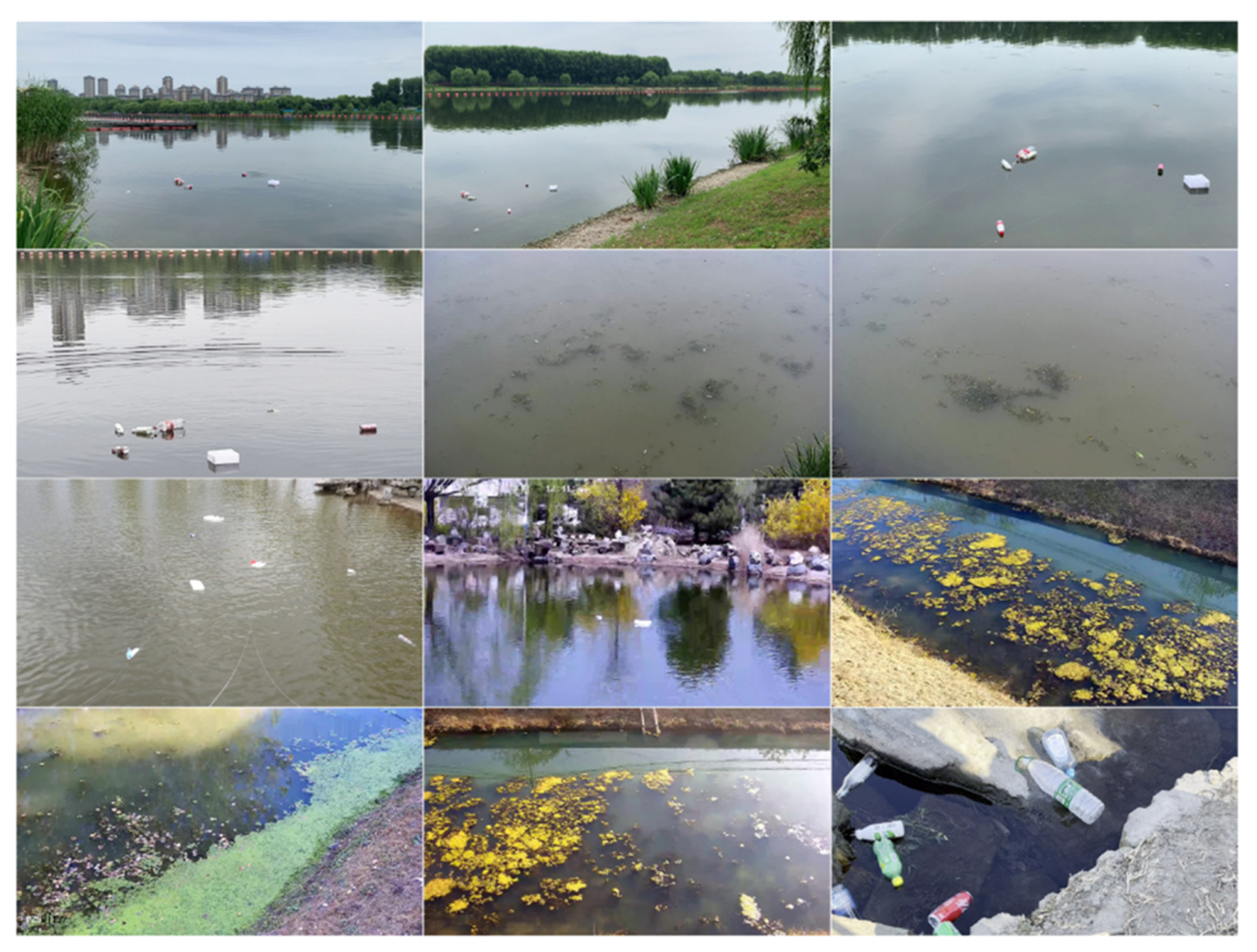 Sensors 25 01938 g010