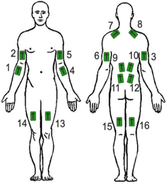 Sensors 25 02027 g004