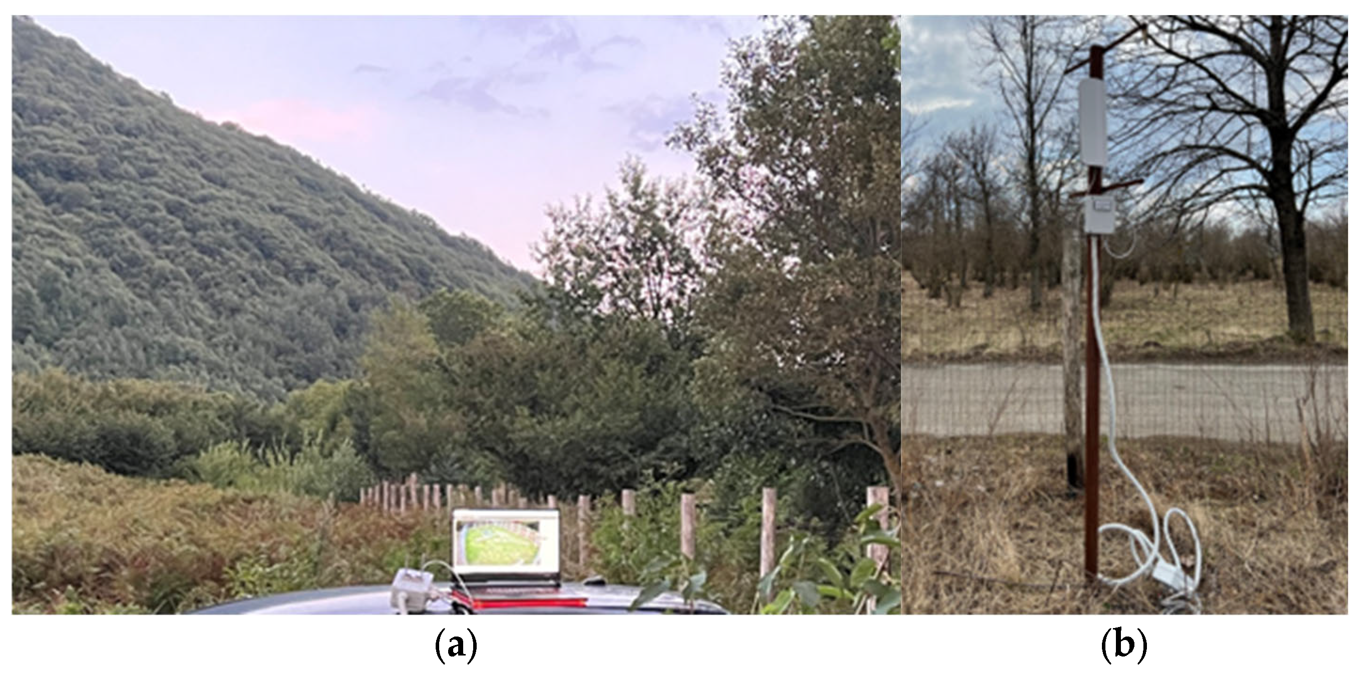 Sensors 25 02071 g007