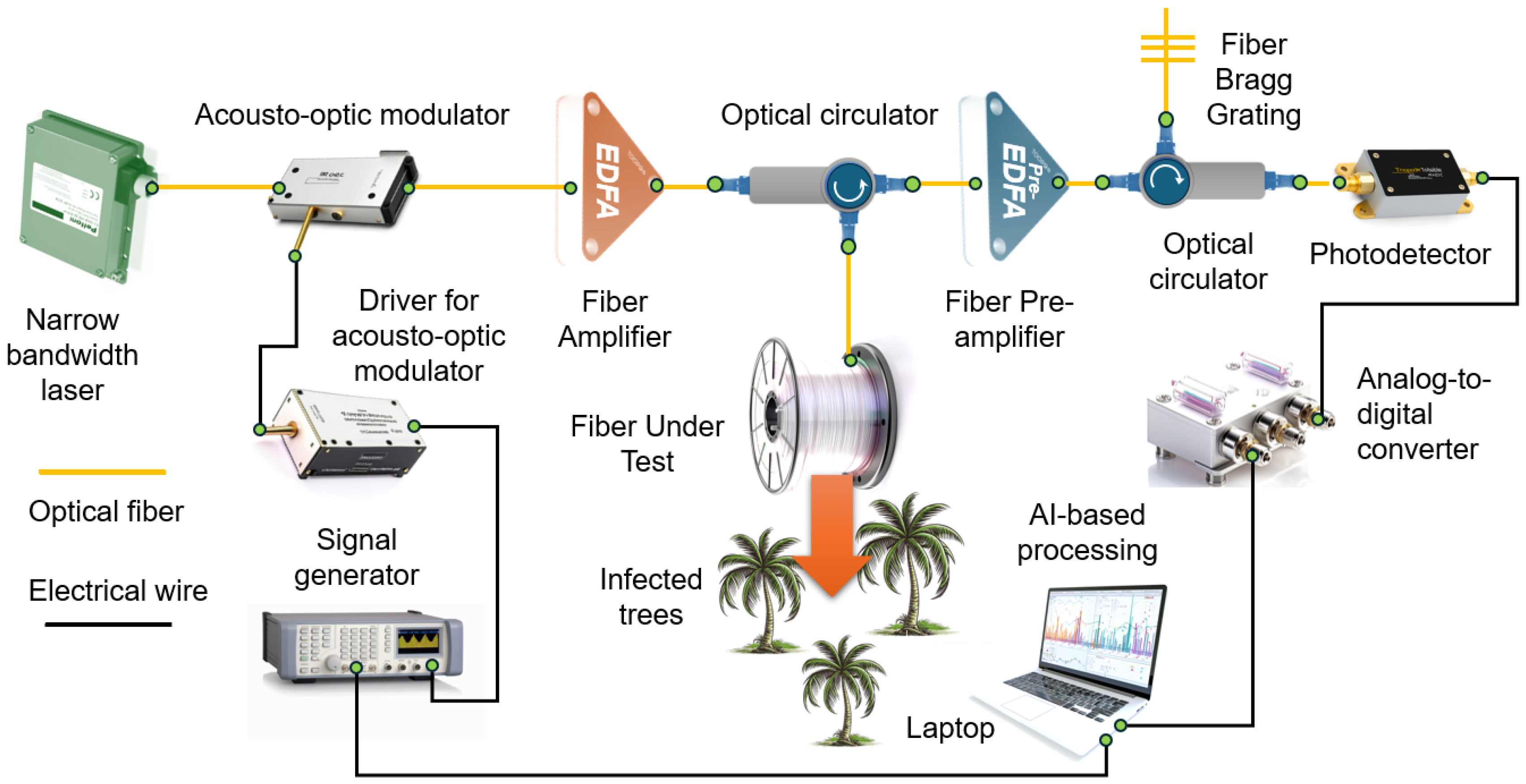 Sensors 25 02101 g001