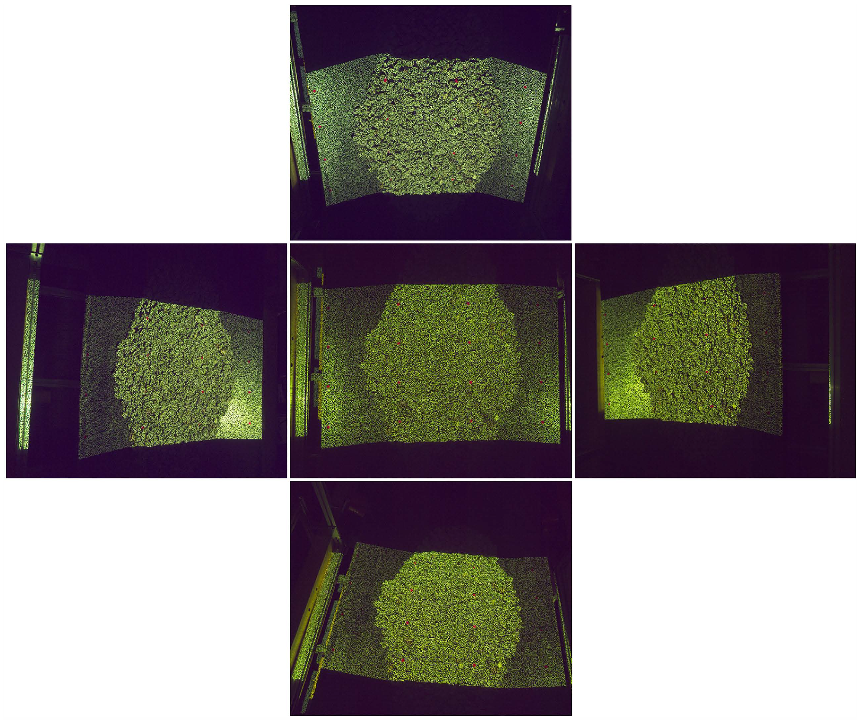 Sensors 25 02111 g011