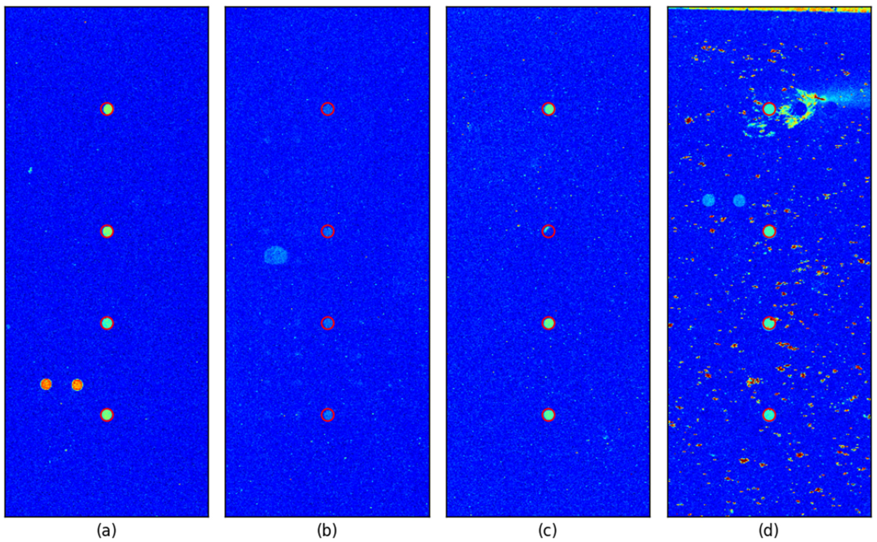Sensors 25 02135 g006