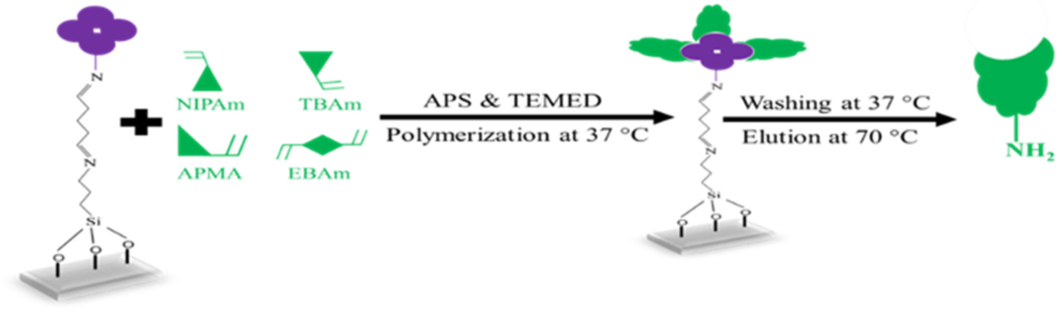 Sensors 25 02150 g002