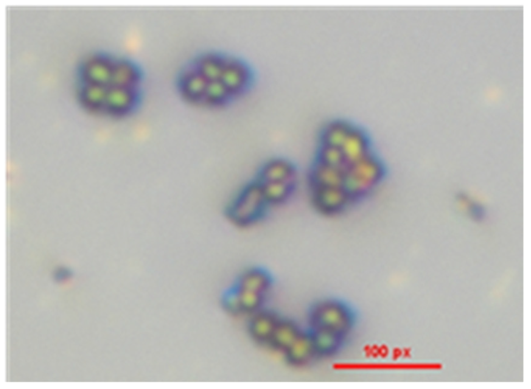 Sensors 25 02150 g004