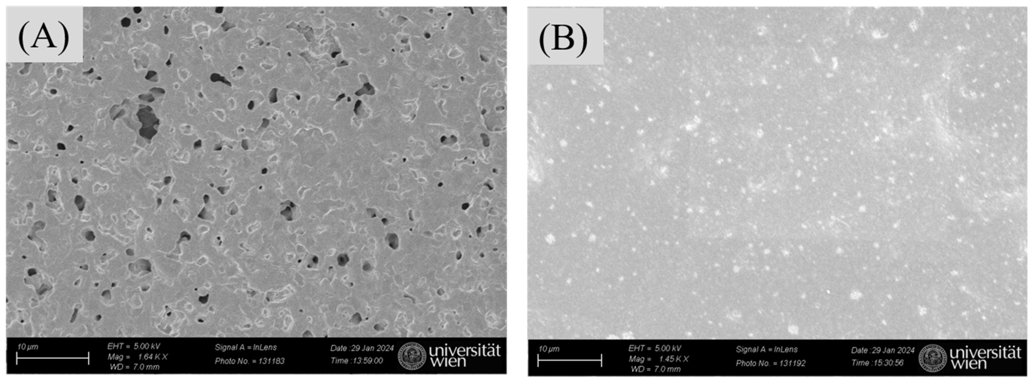 Sensors 25 02150 g008