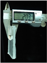 Sensors 25 02153 i006