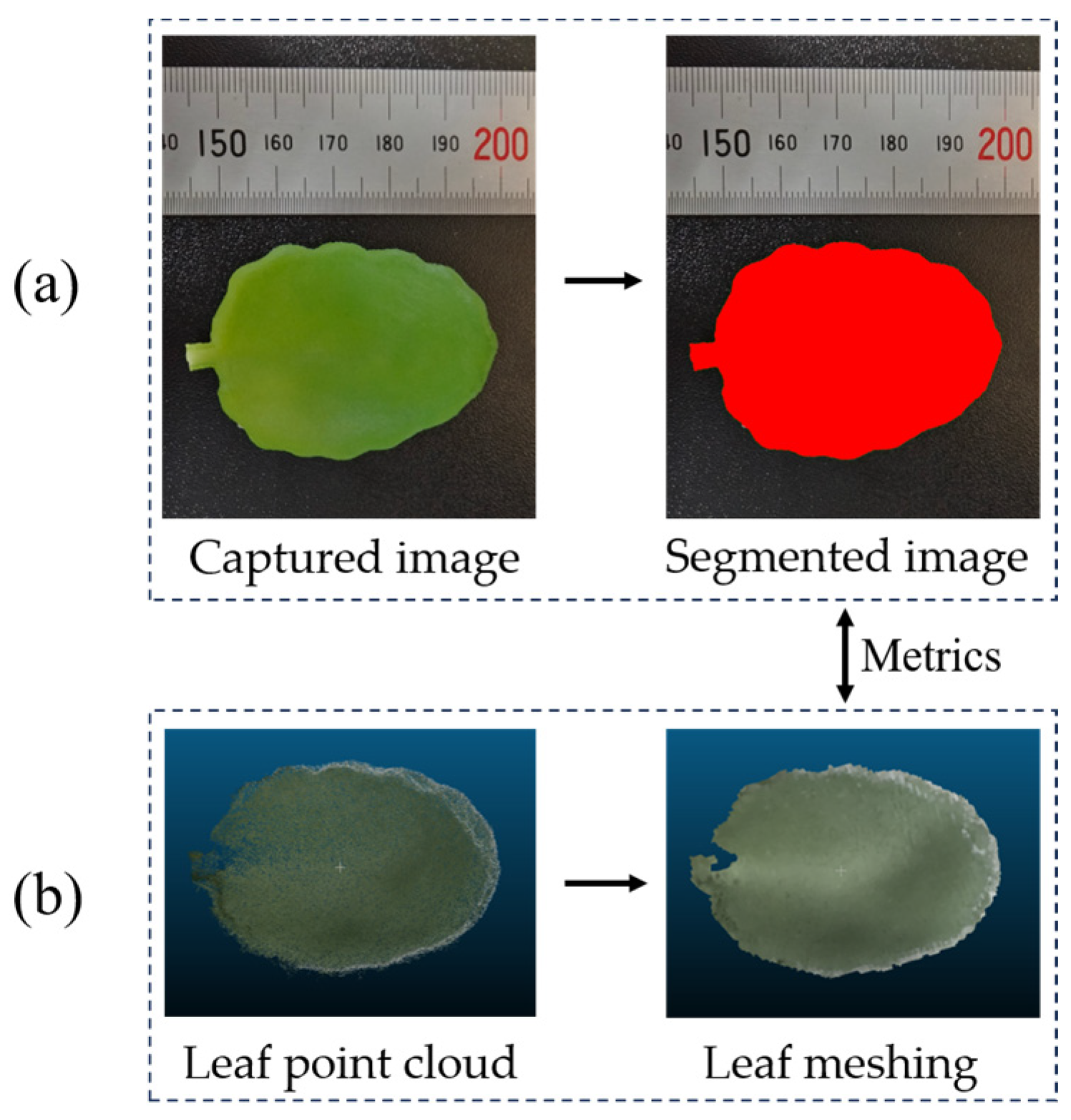 Sensors 25 02177 g009