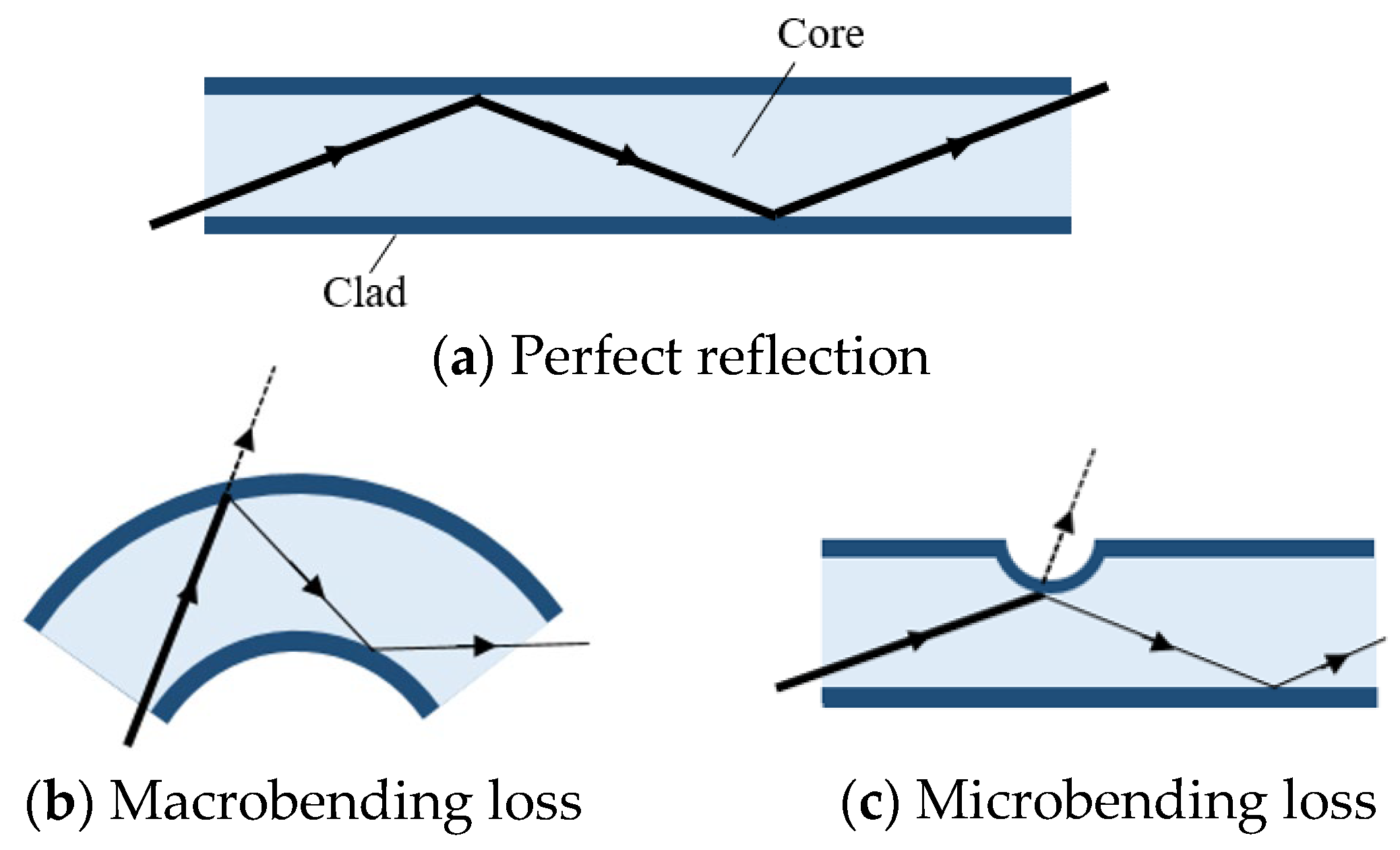 Sensors 25 02221 g002