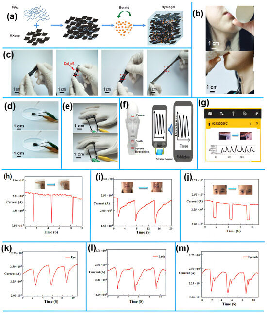 Sensors 25 02248 g008