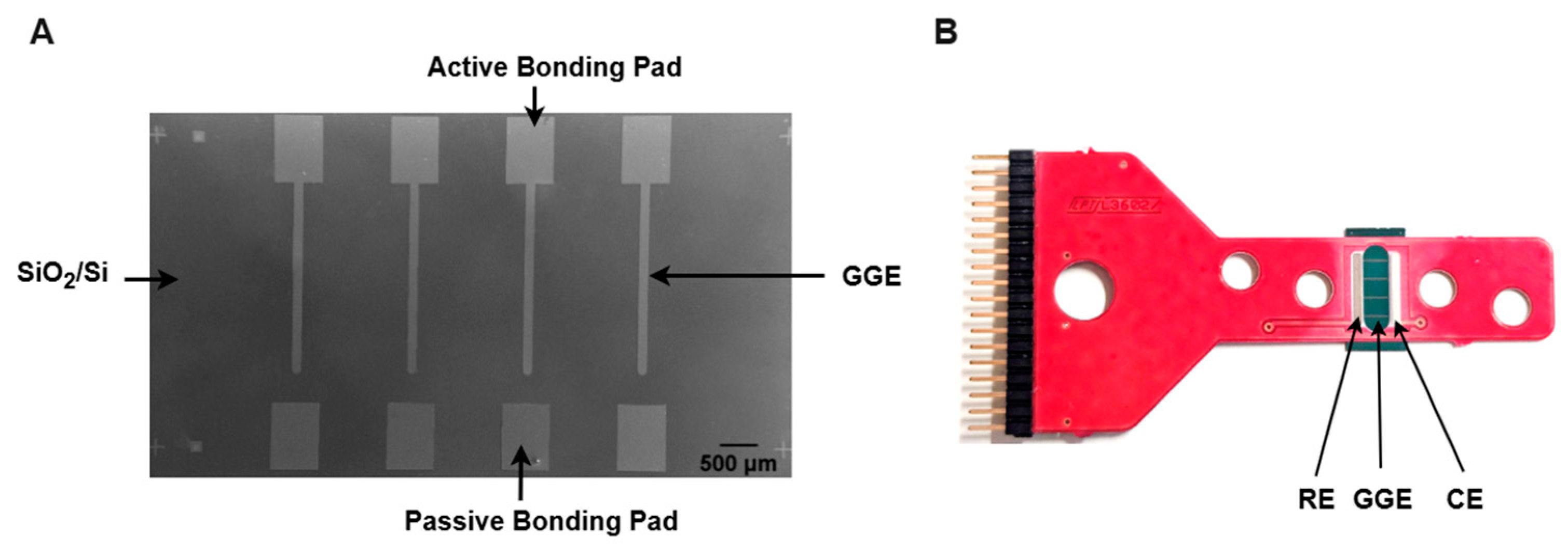 Sensors 25 02454 g001