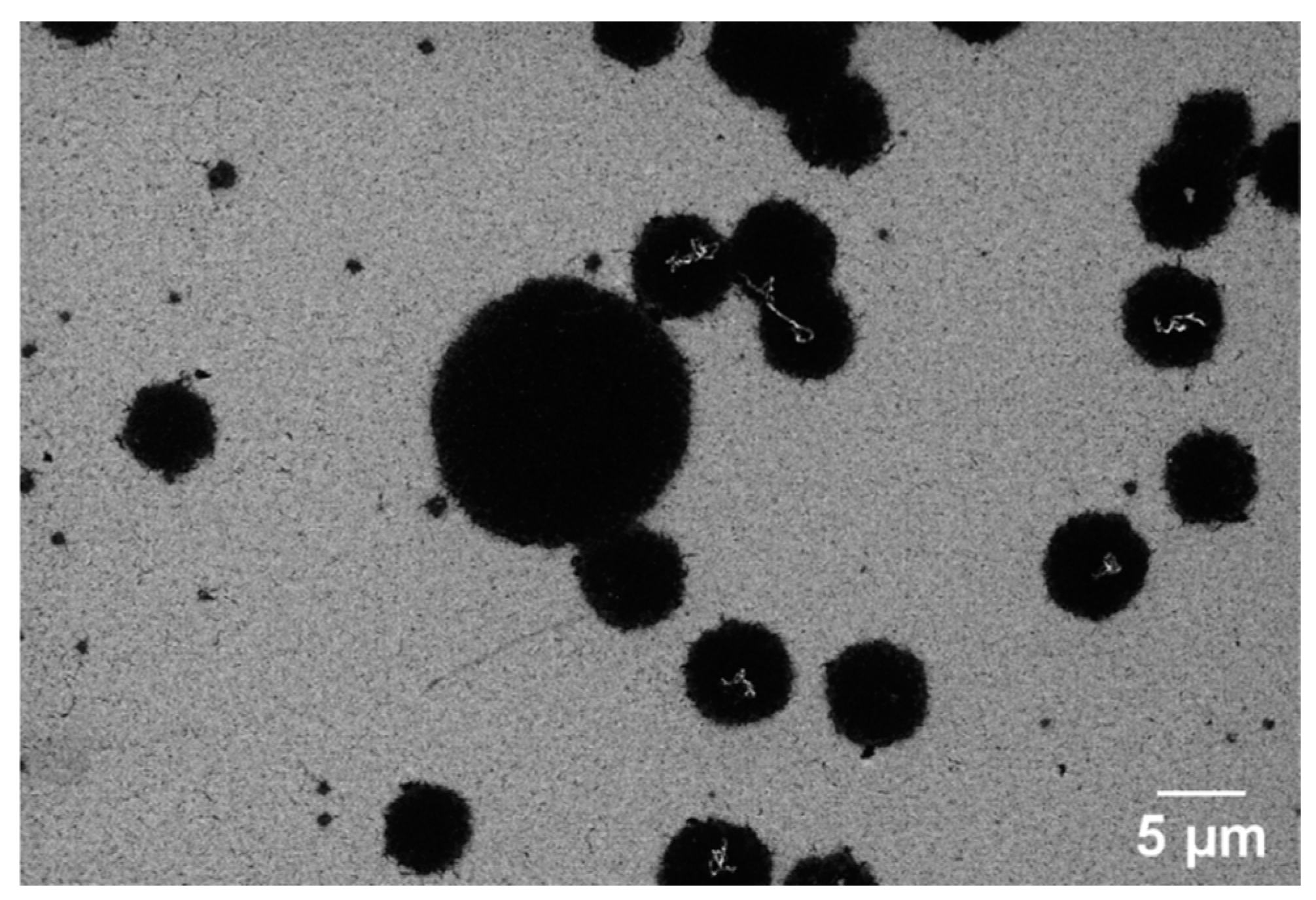 Sensors 25 02454 g007