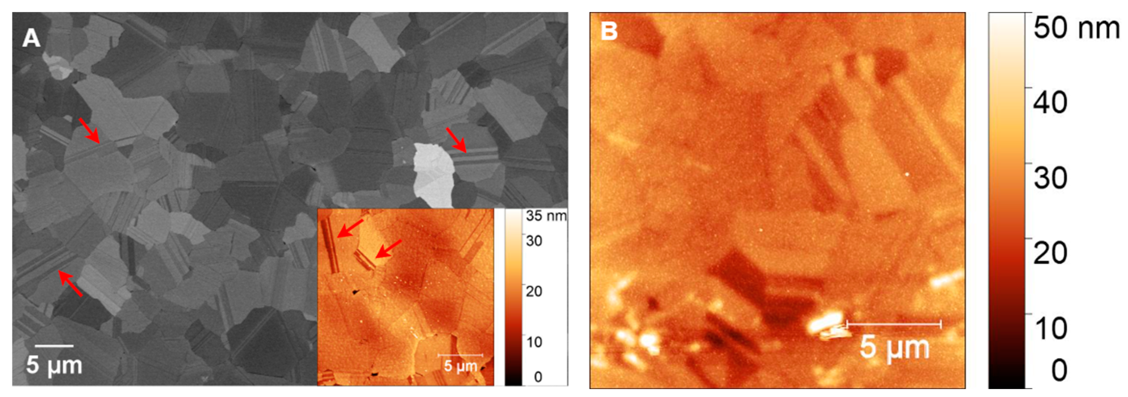 Sensors 25 02454 g009