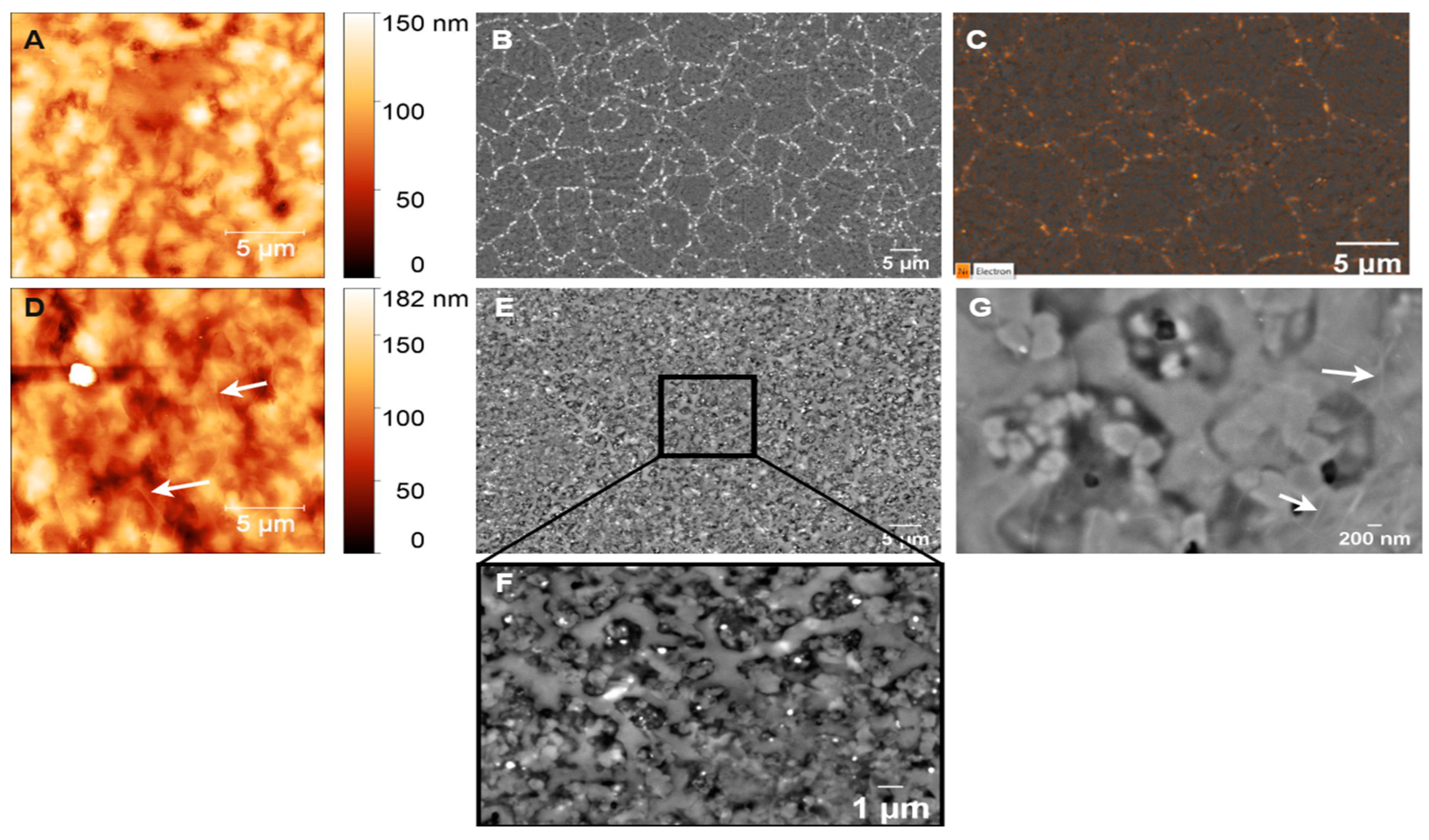 Sensors 25 02454 g010