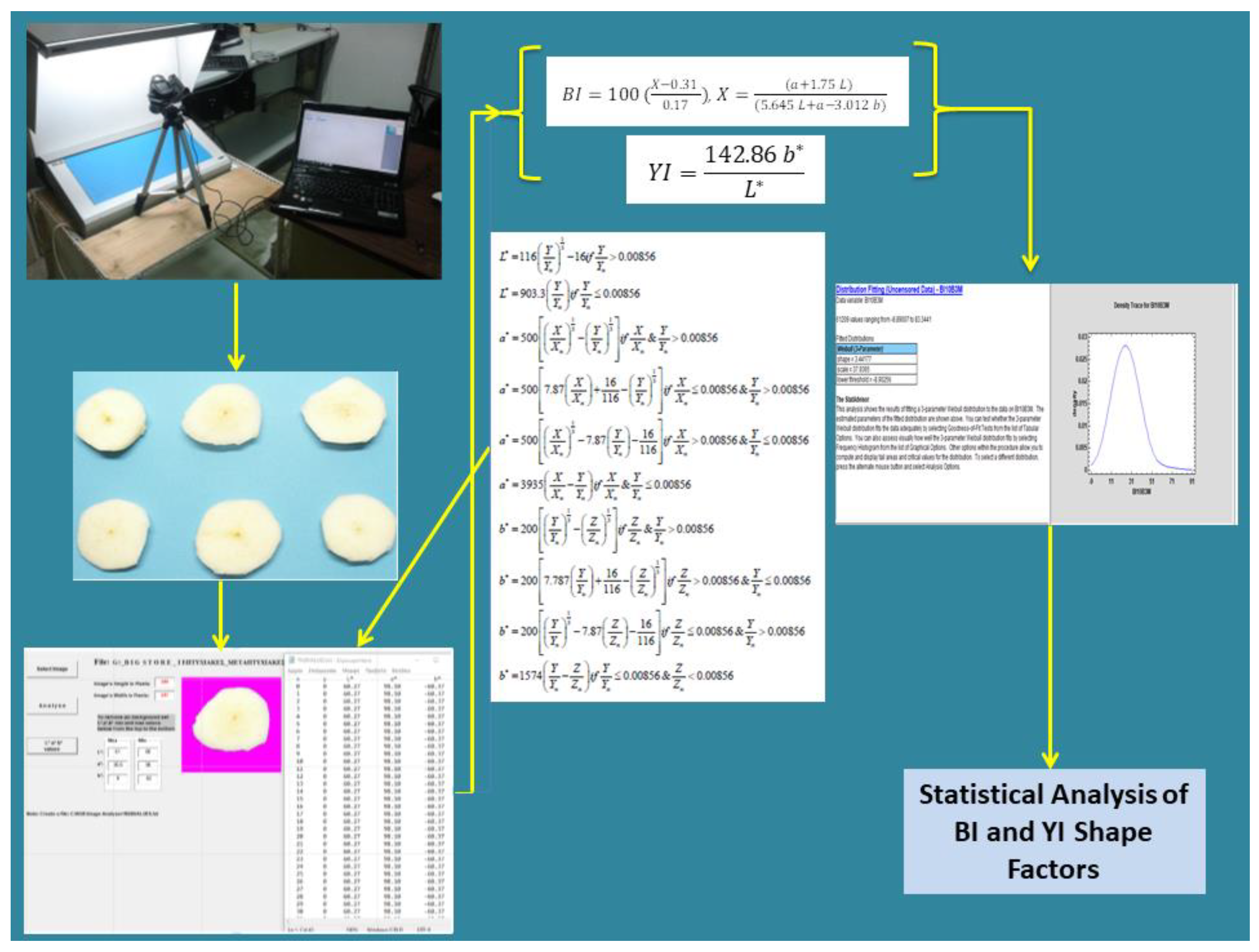 Sensors 25 02482 g005