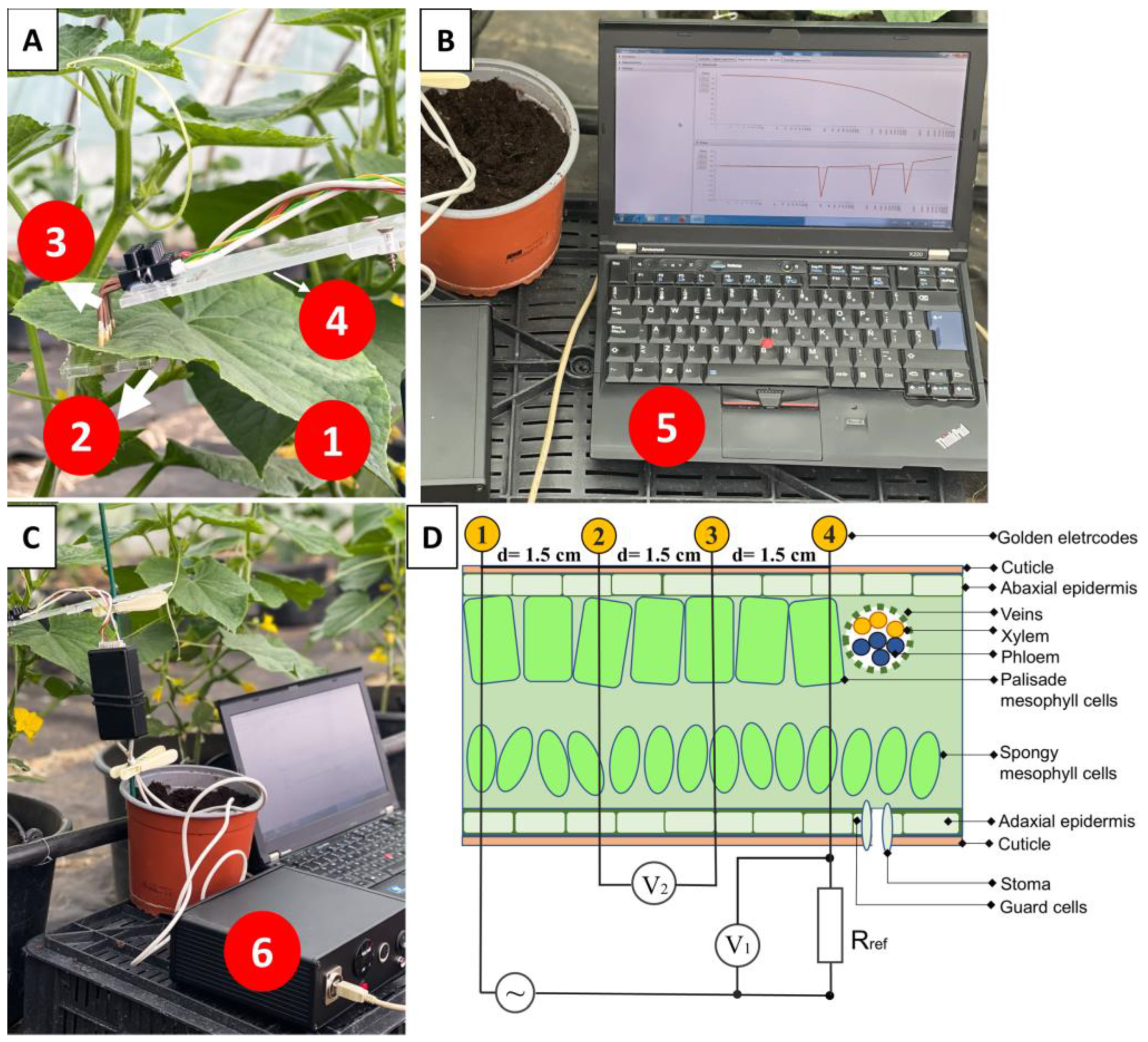 Sensors 25 02486 g001