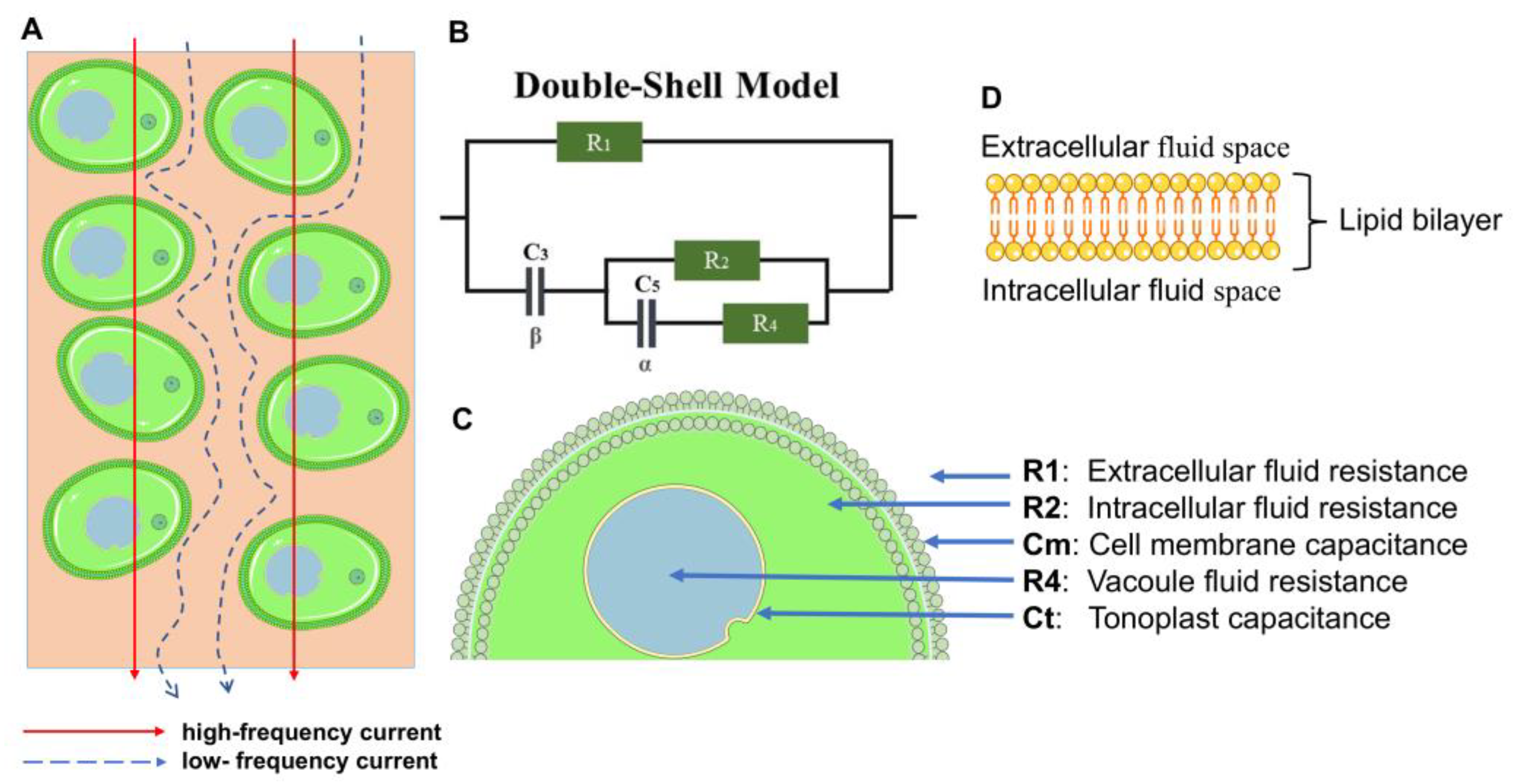 Sensors 25 02486 g002