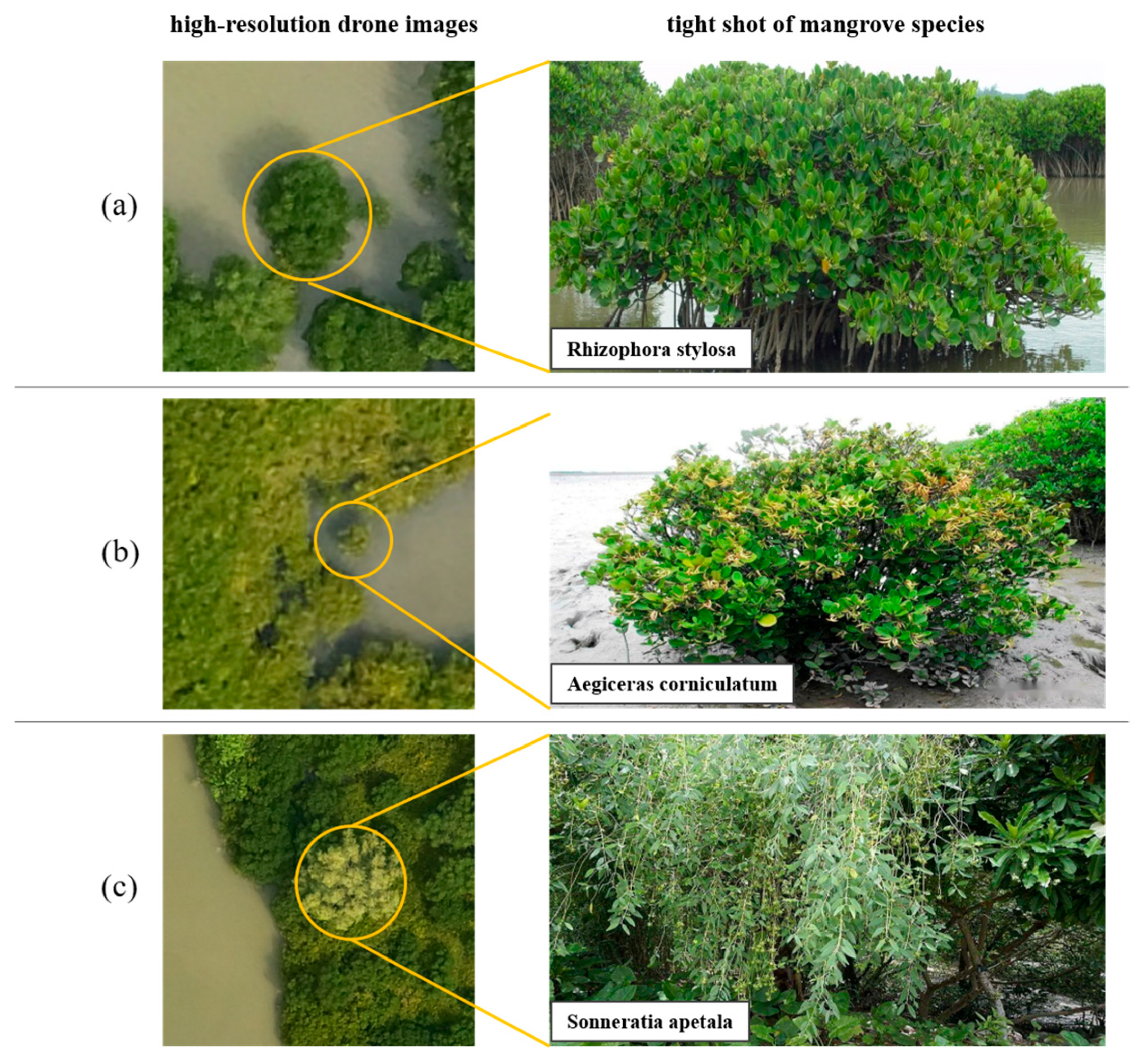 Sensors 25 02540 g003