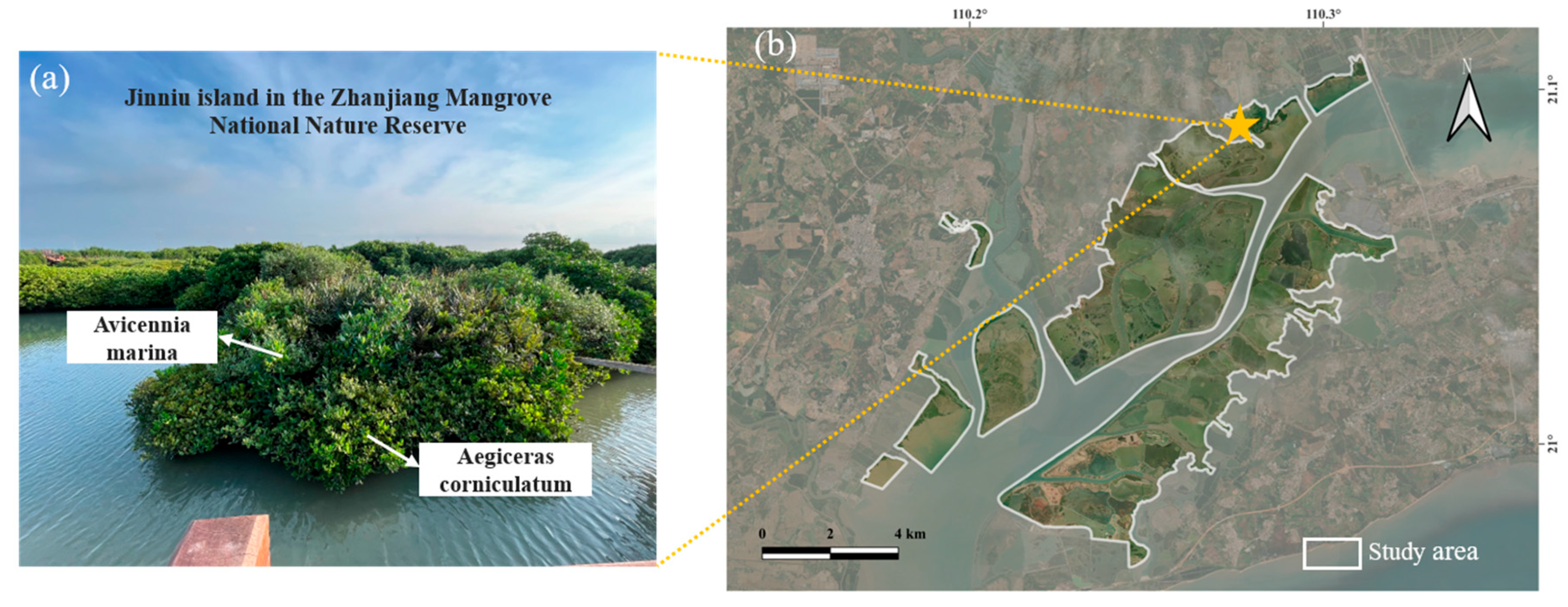 Sensors 25 02540 g008