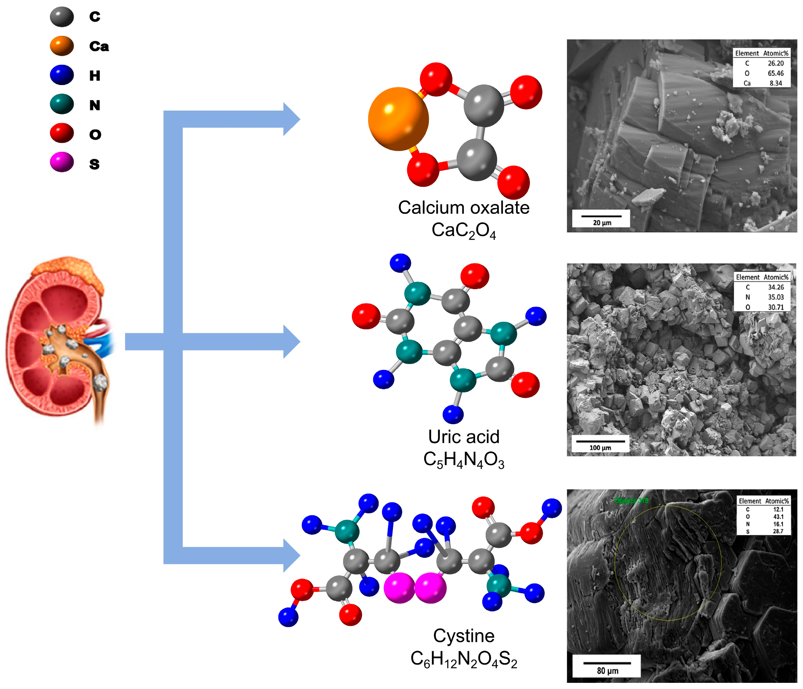 Sensors 25 02547 g002