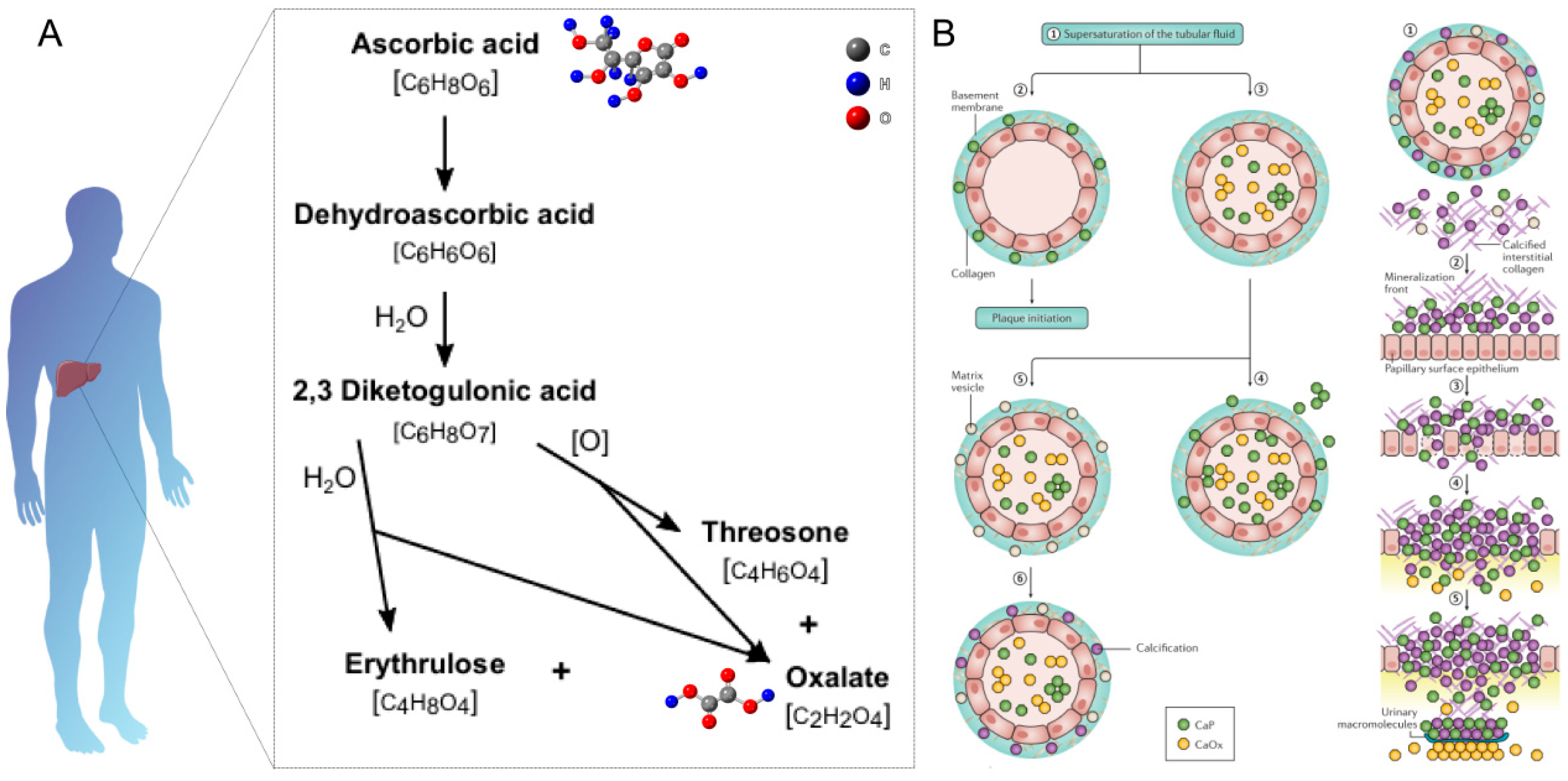 Sensors 25 02547 g003