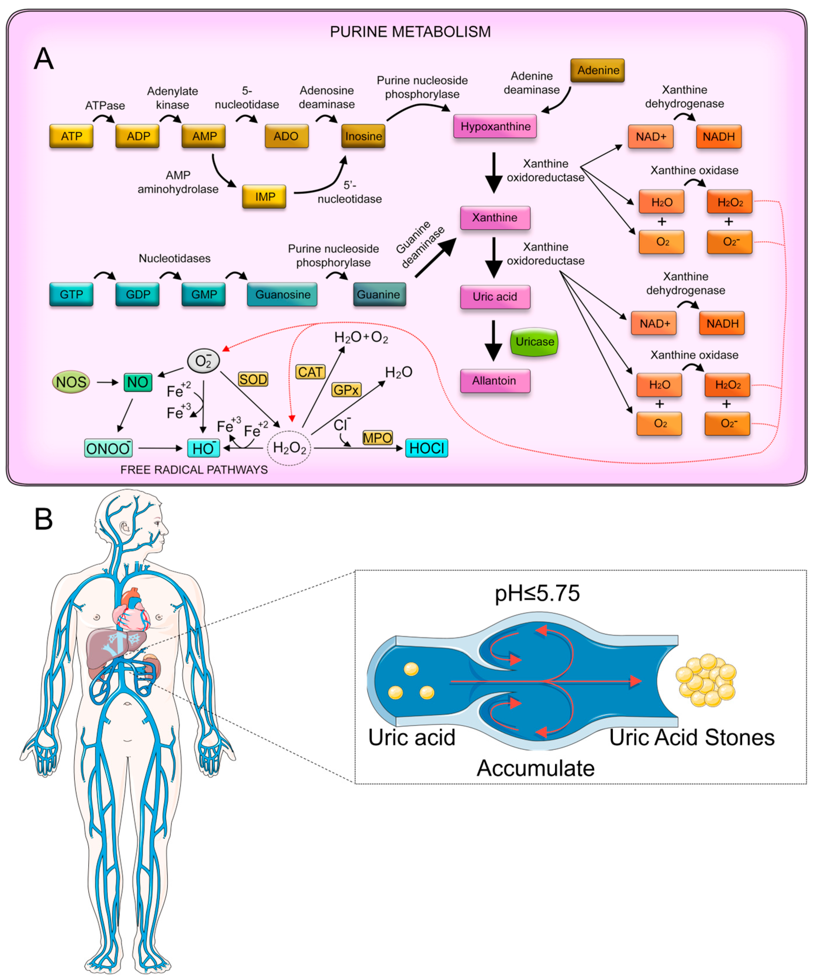 Sensors 25 02547 g004