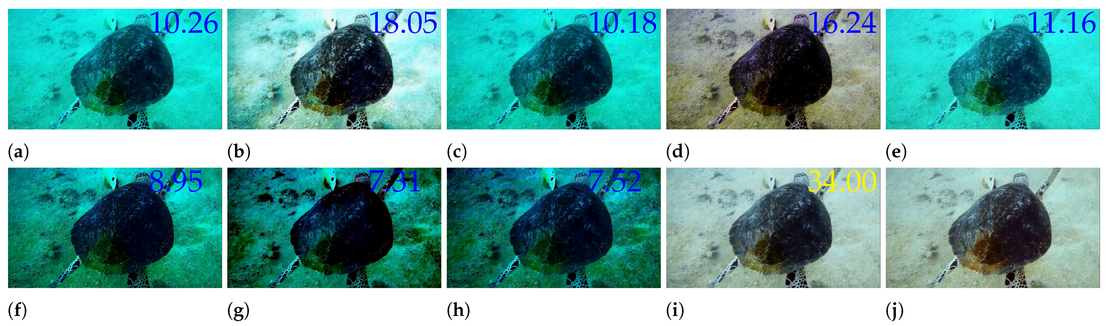 Sensors 25 02574 g001