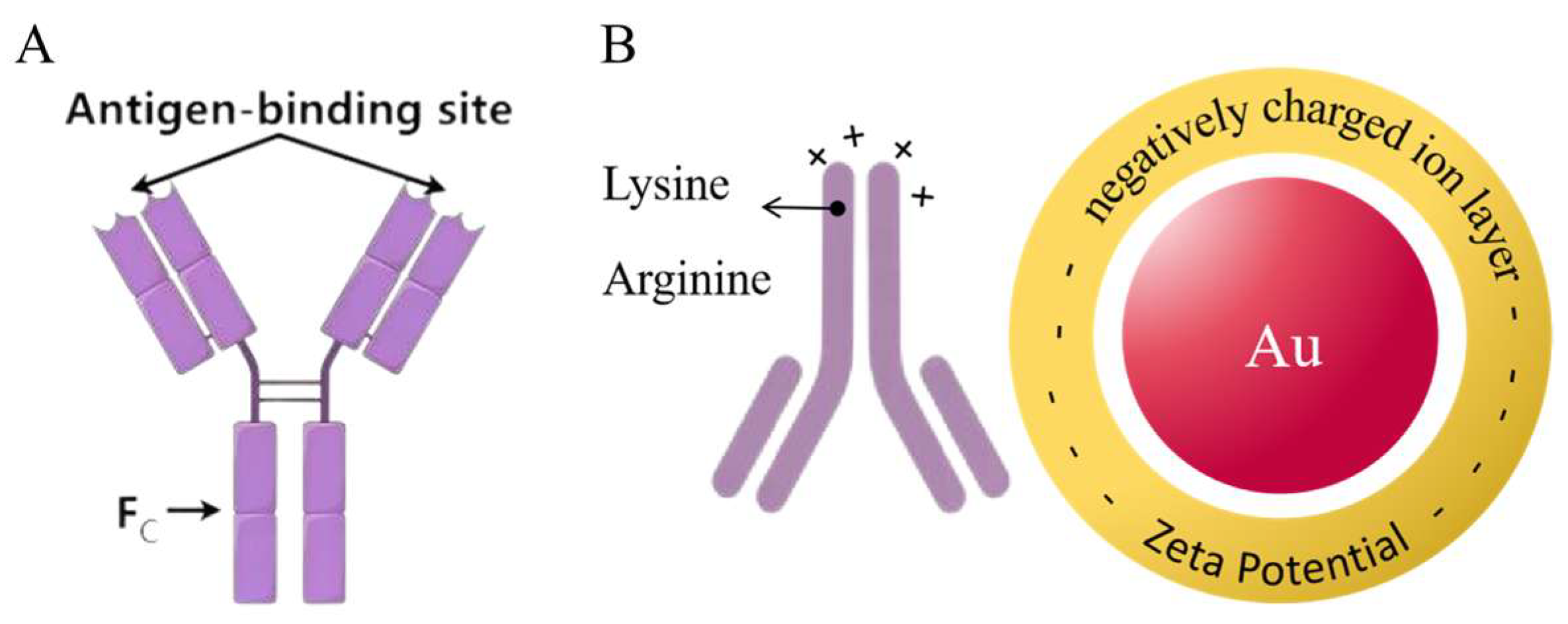 Sensors 25 02602 g001
