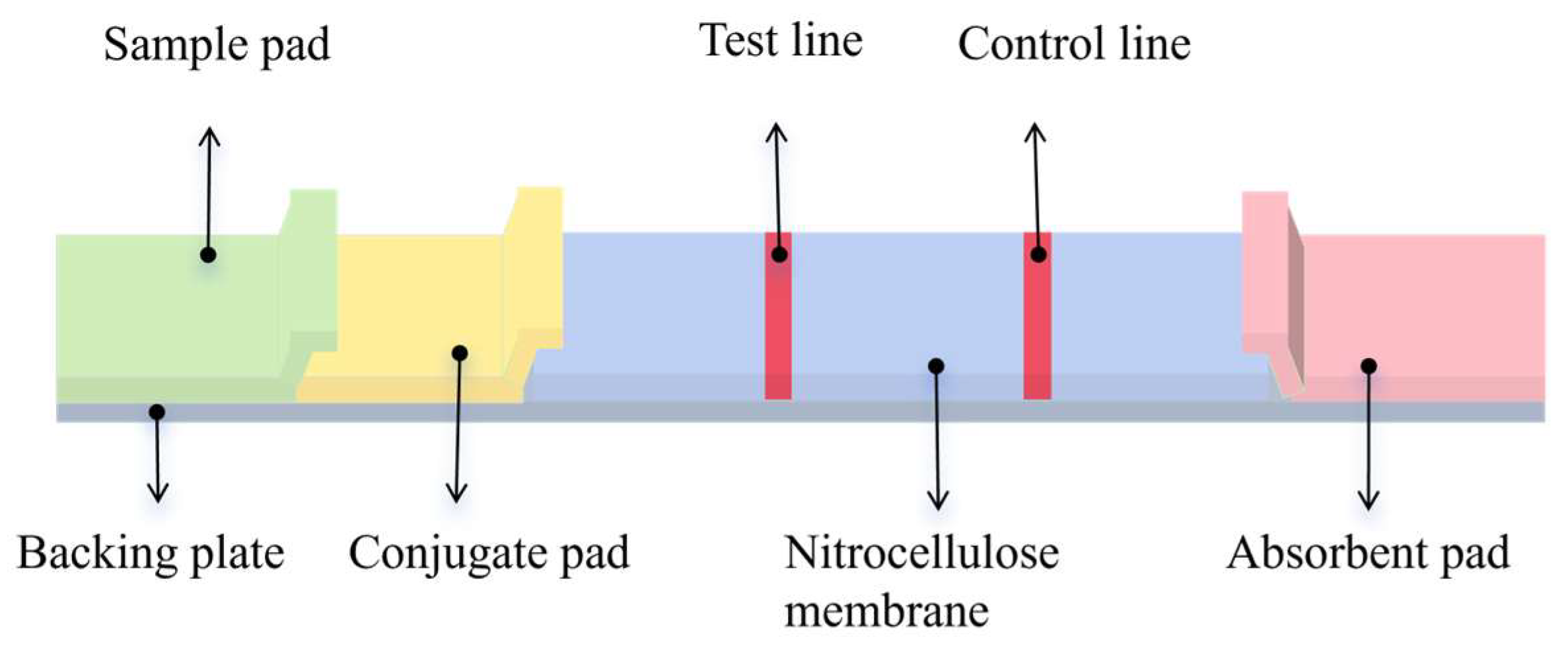 Sensors 25 02602 g002