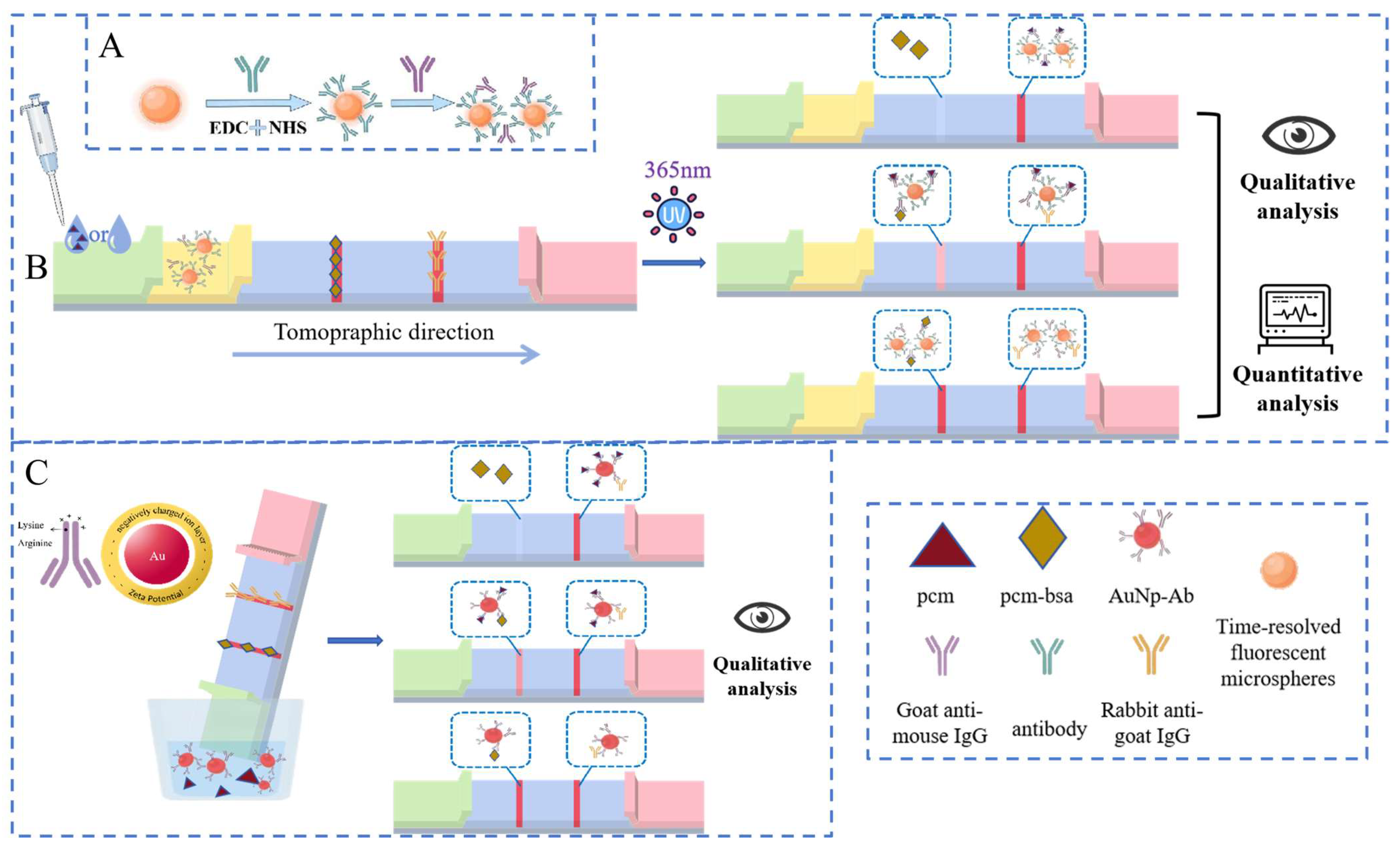 Sensors 25 02602 g003
