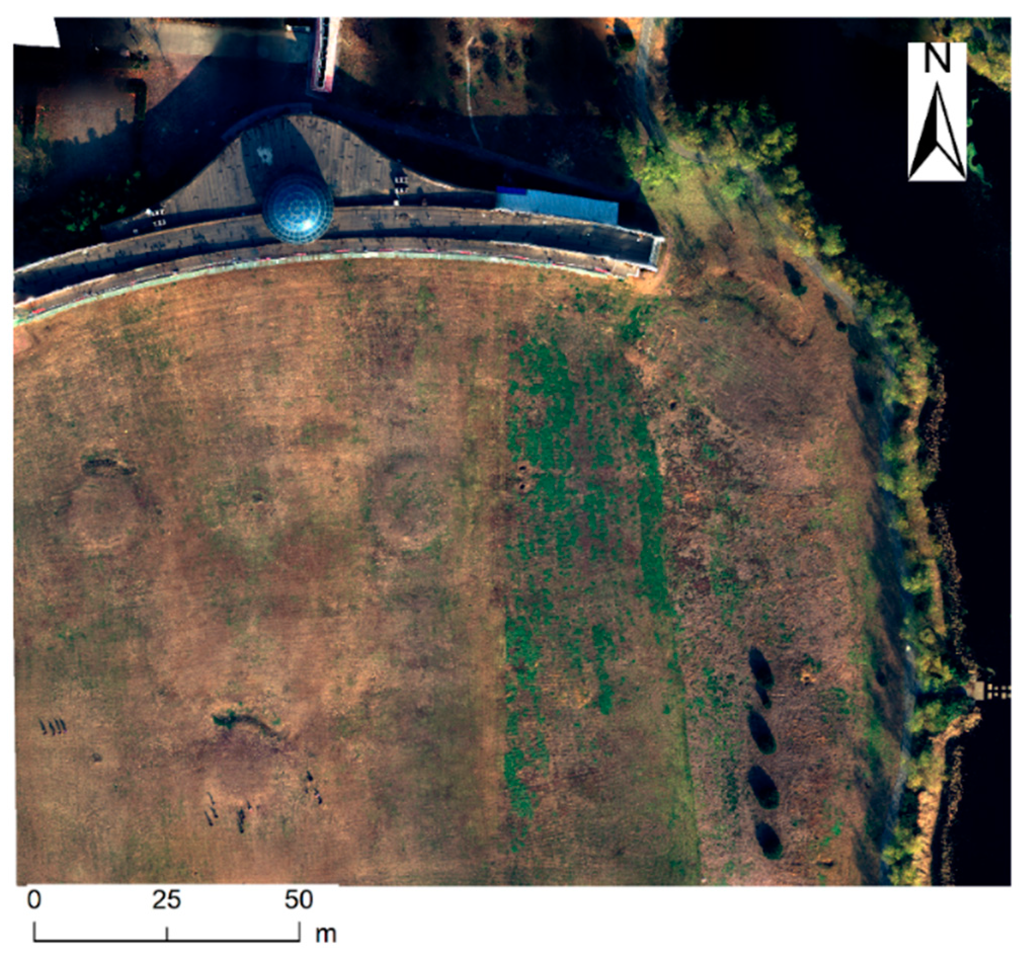 Sensors 25 02604 g009