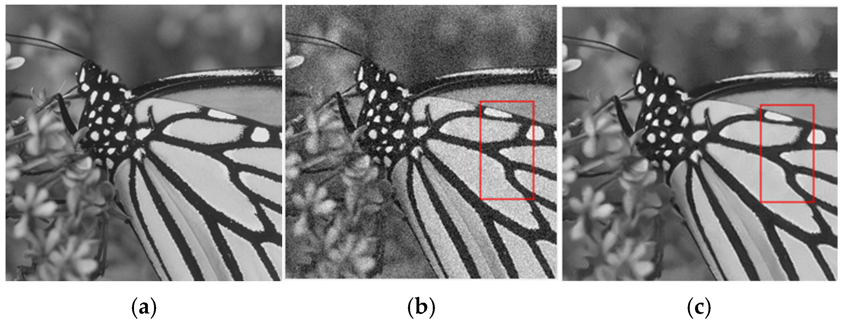 Sensors 25 02615 g003a