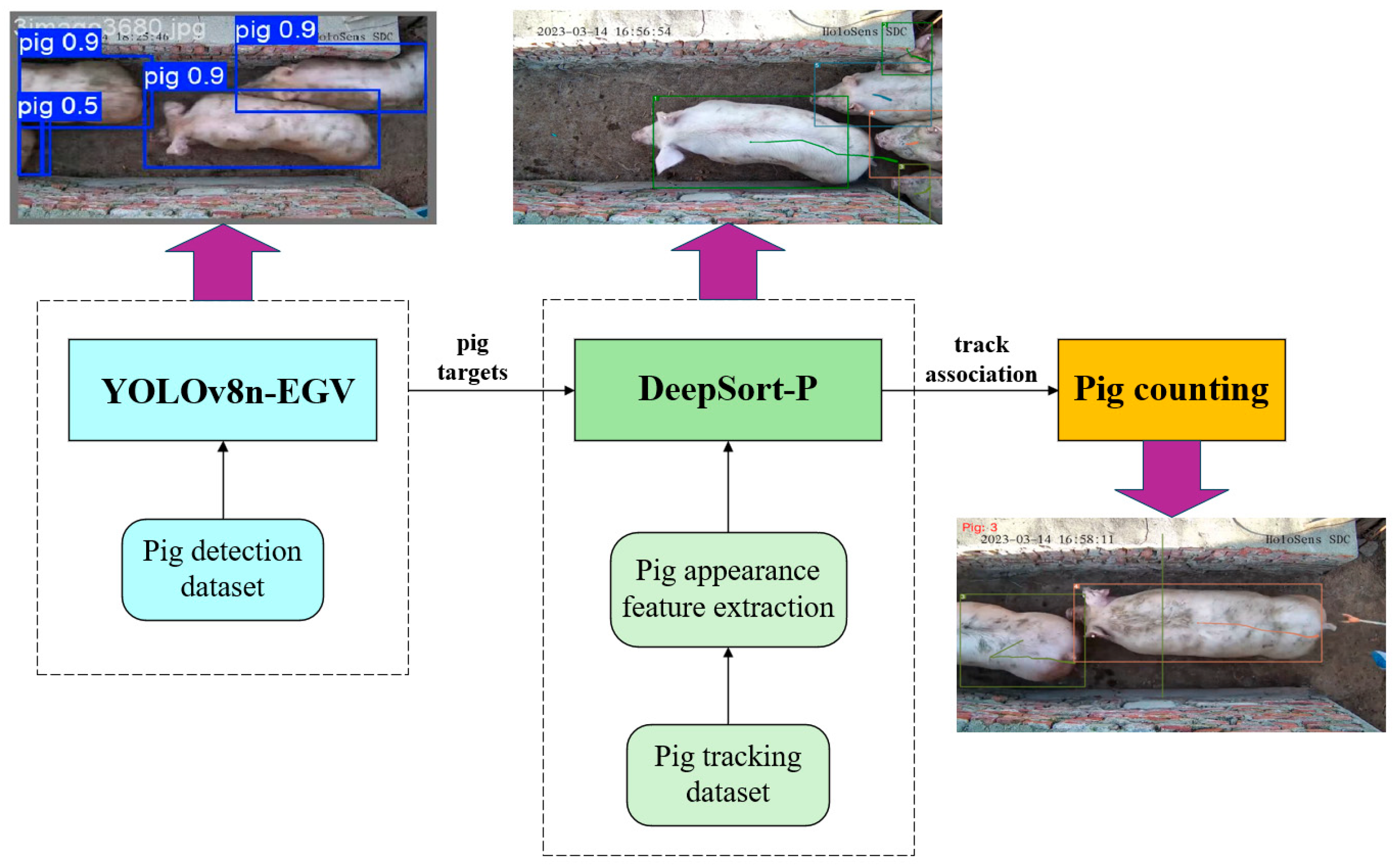 Sensors 25 02680 g001