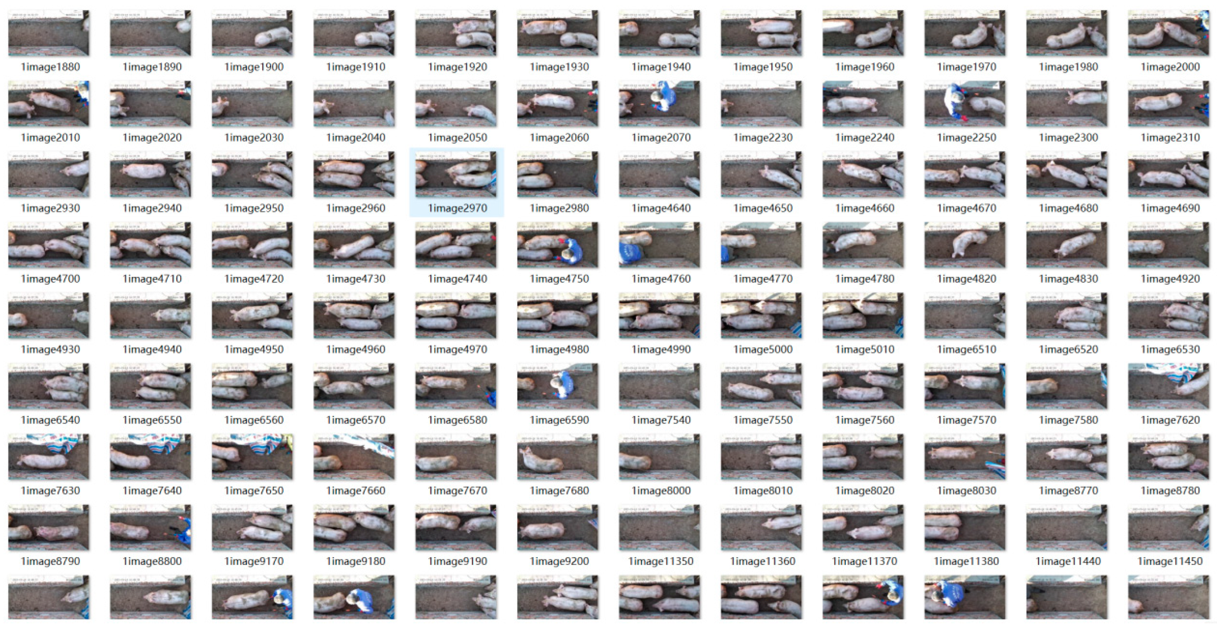 Sensors 25 02680 g009