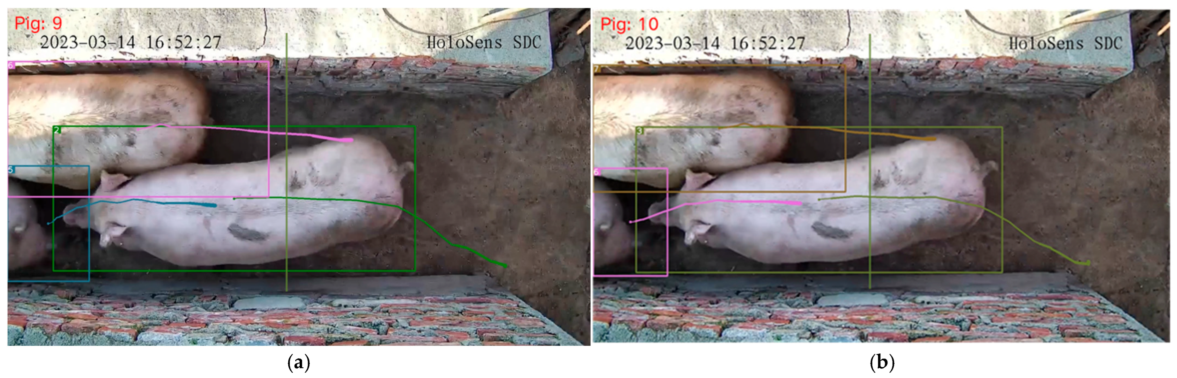 Sensors 25 02680 g016