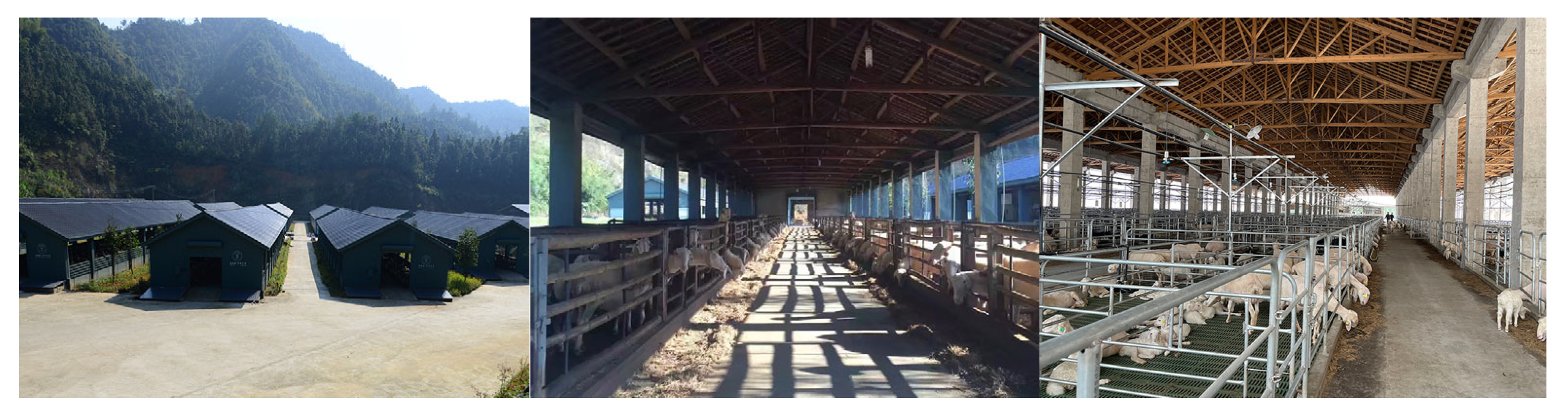 Sensors 25 02687 g001