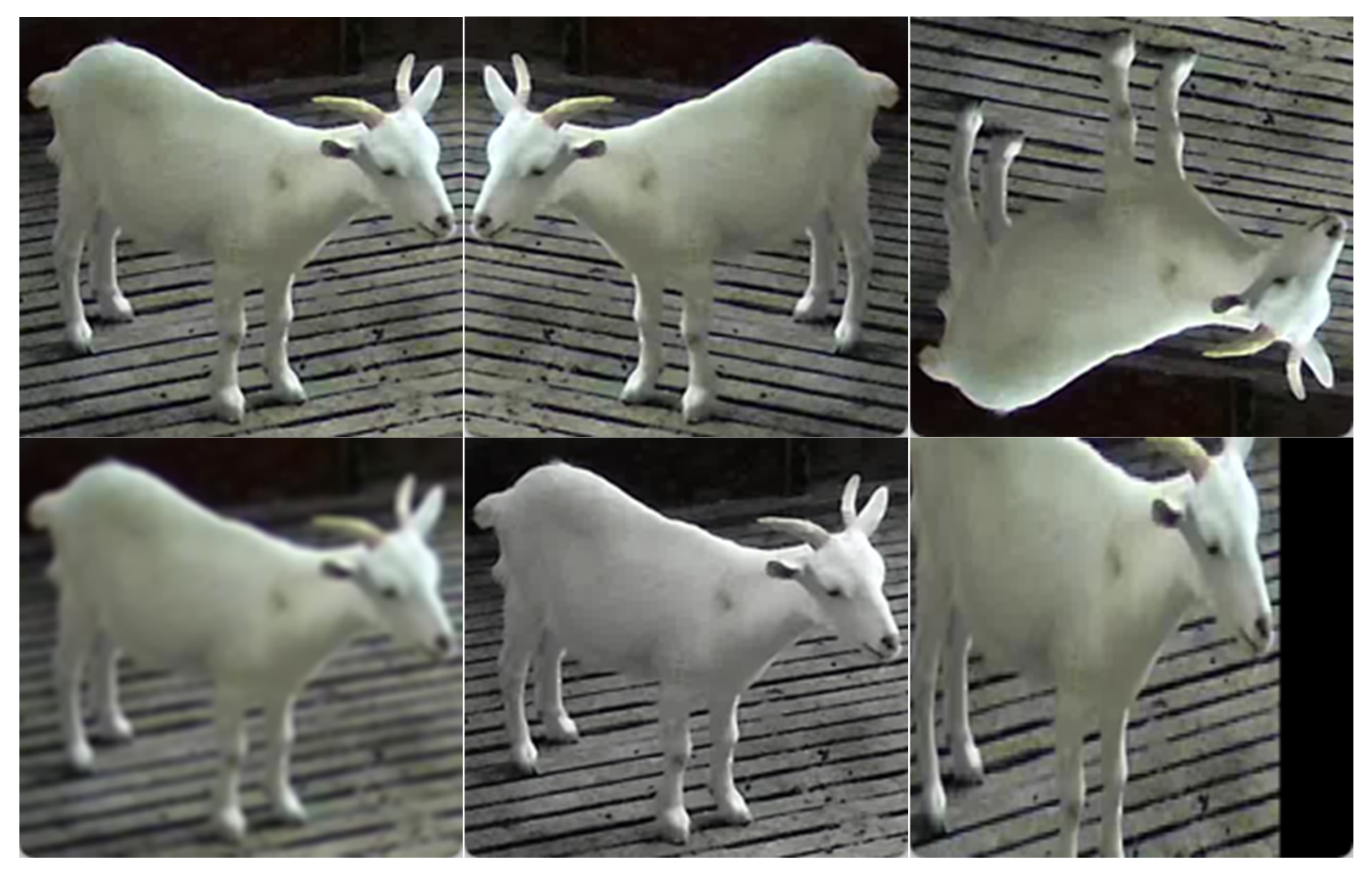 Sensors 25 02687 g002