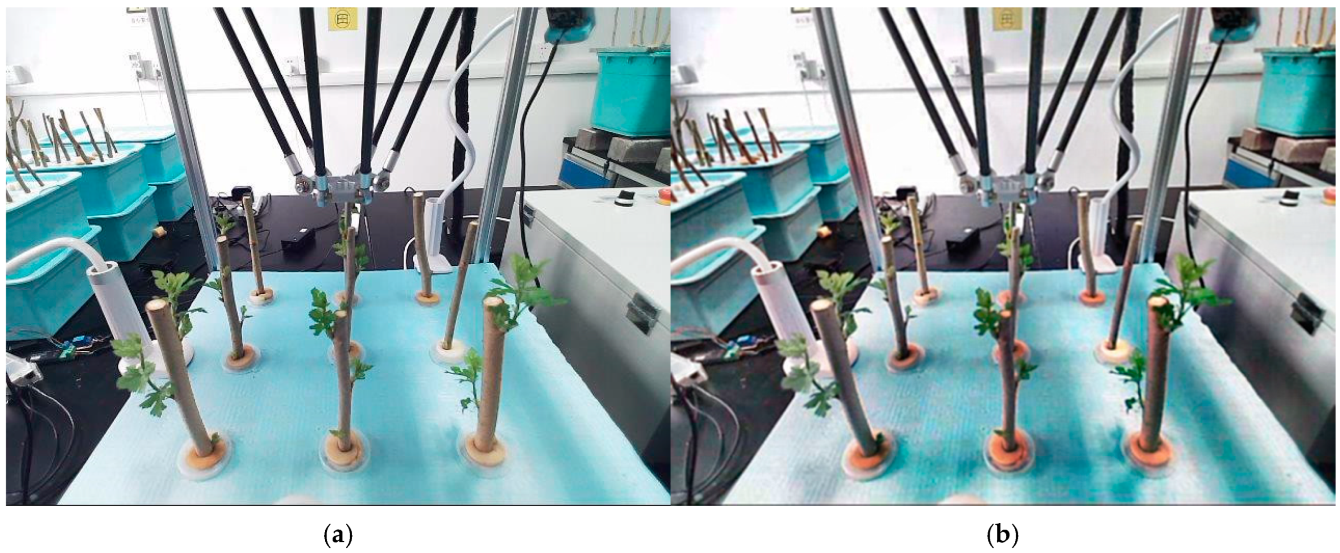 Sensors 25 02691 g011