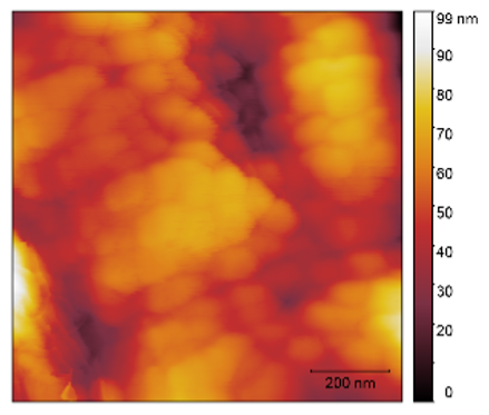 Sensors 25 02705 i013