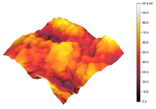 Sensors 25 02705 i014