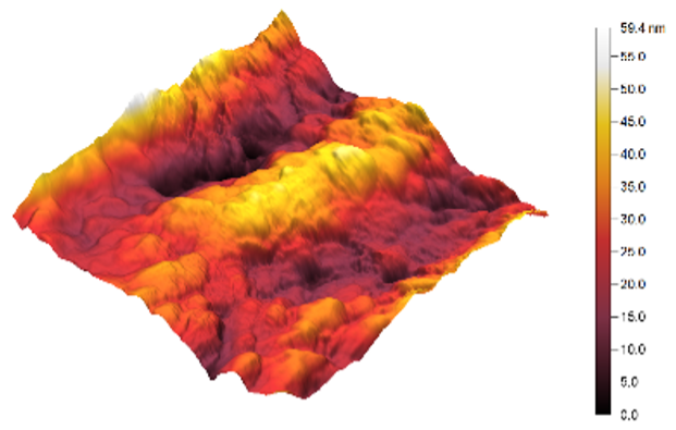 Sensors 25 02705 i018