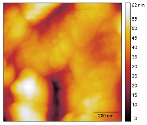Sensors 25 02705 i019