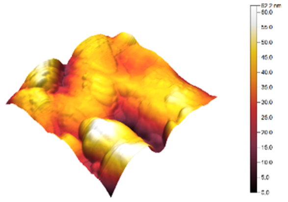 Sensors 25 02705 i020