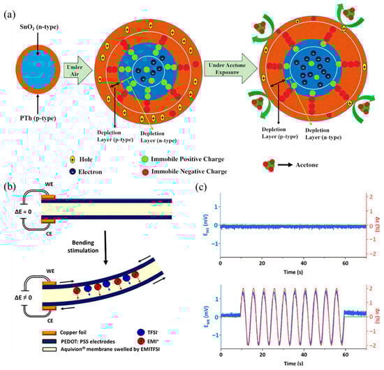 Sensors 25 02724 g002