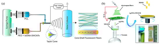 Sensors 25 02724 g008