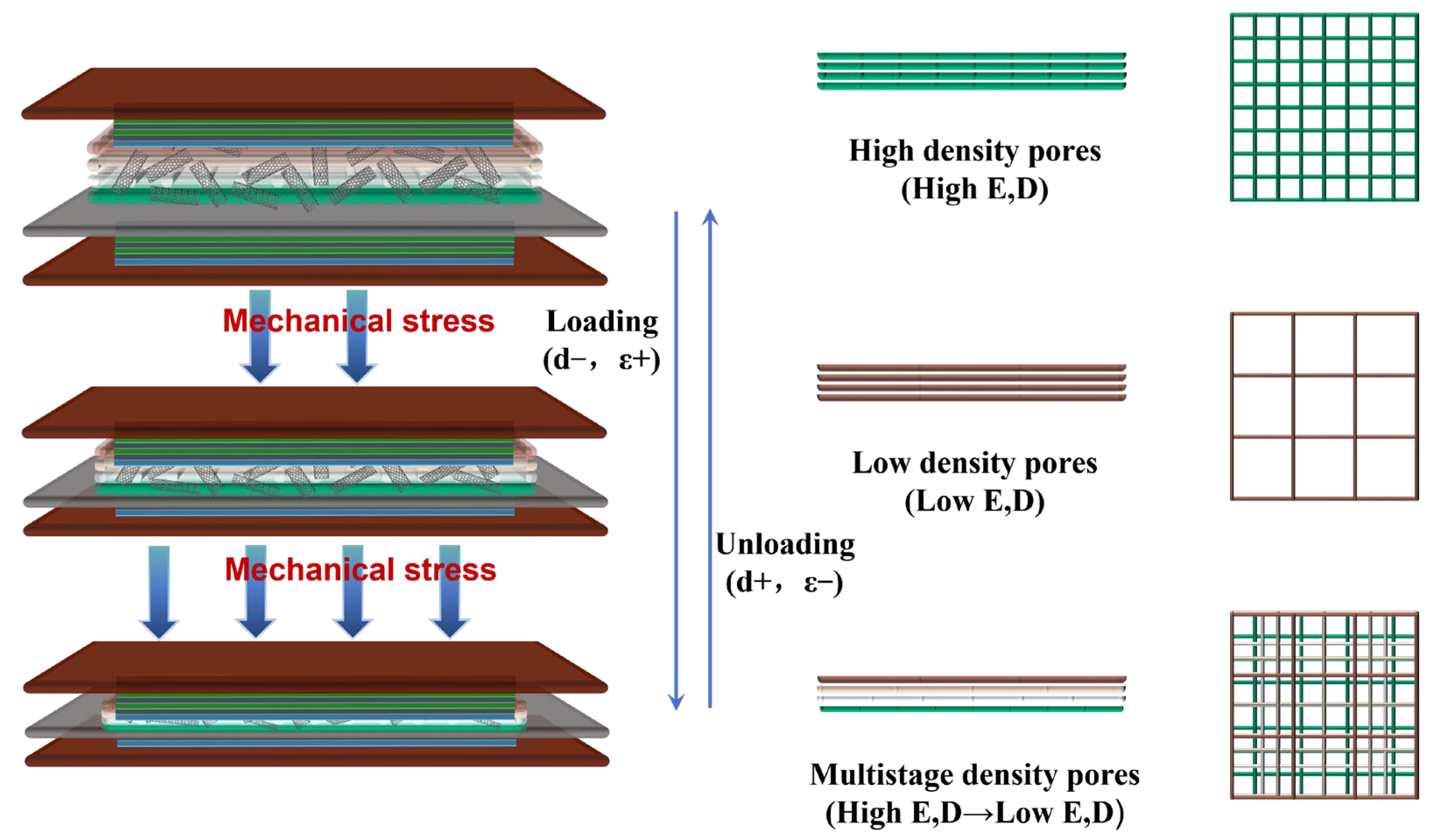 Sensors 25 02814 g005